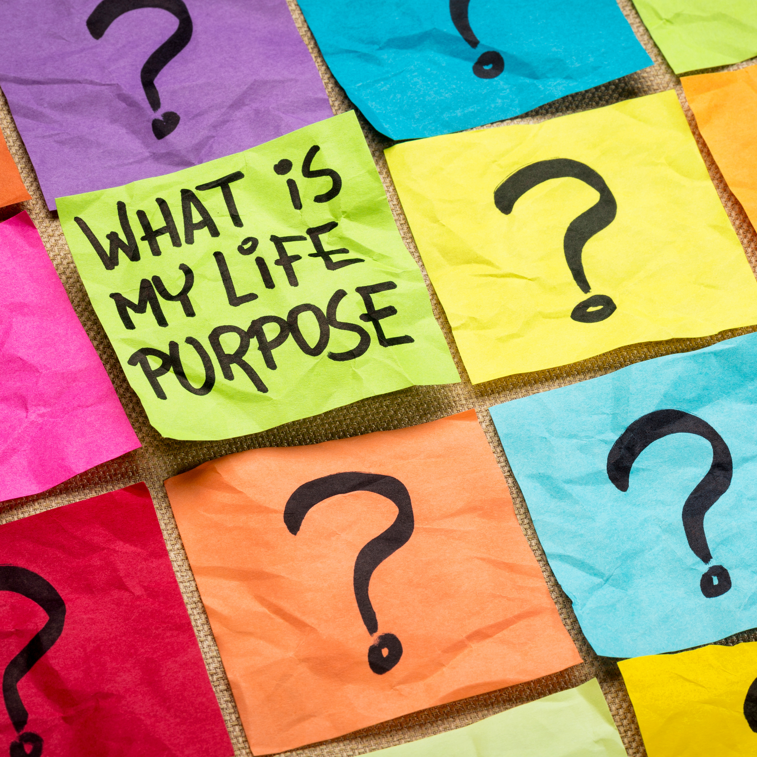 The Purpose Puzzle