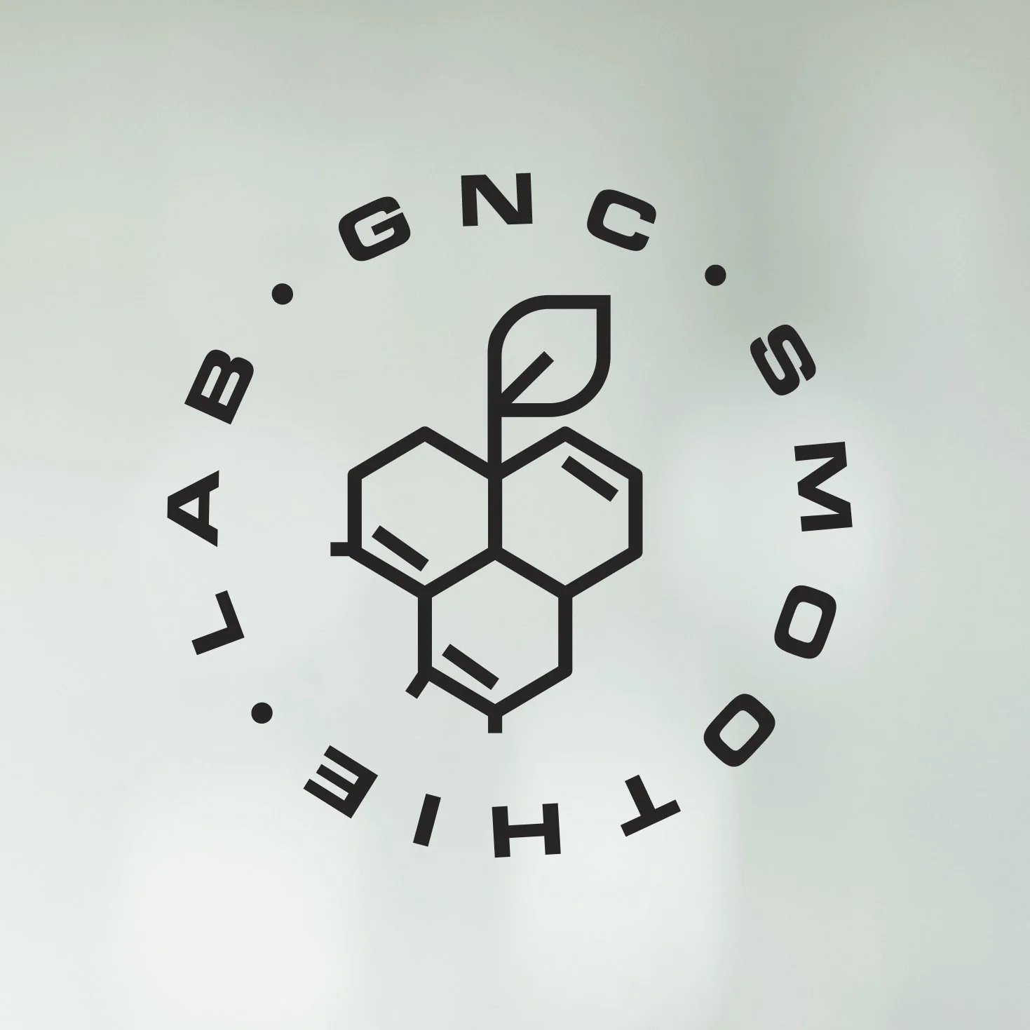 Smoothie Lab