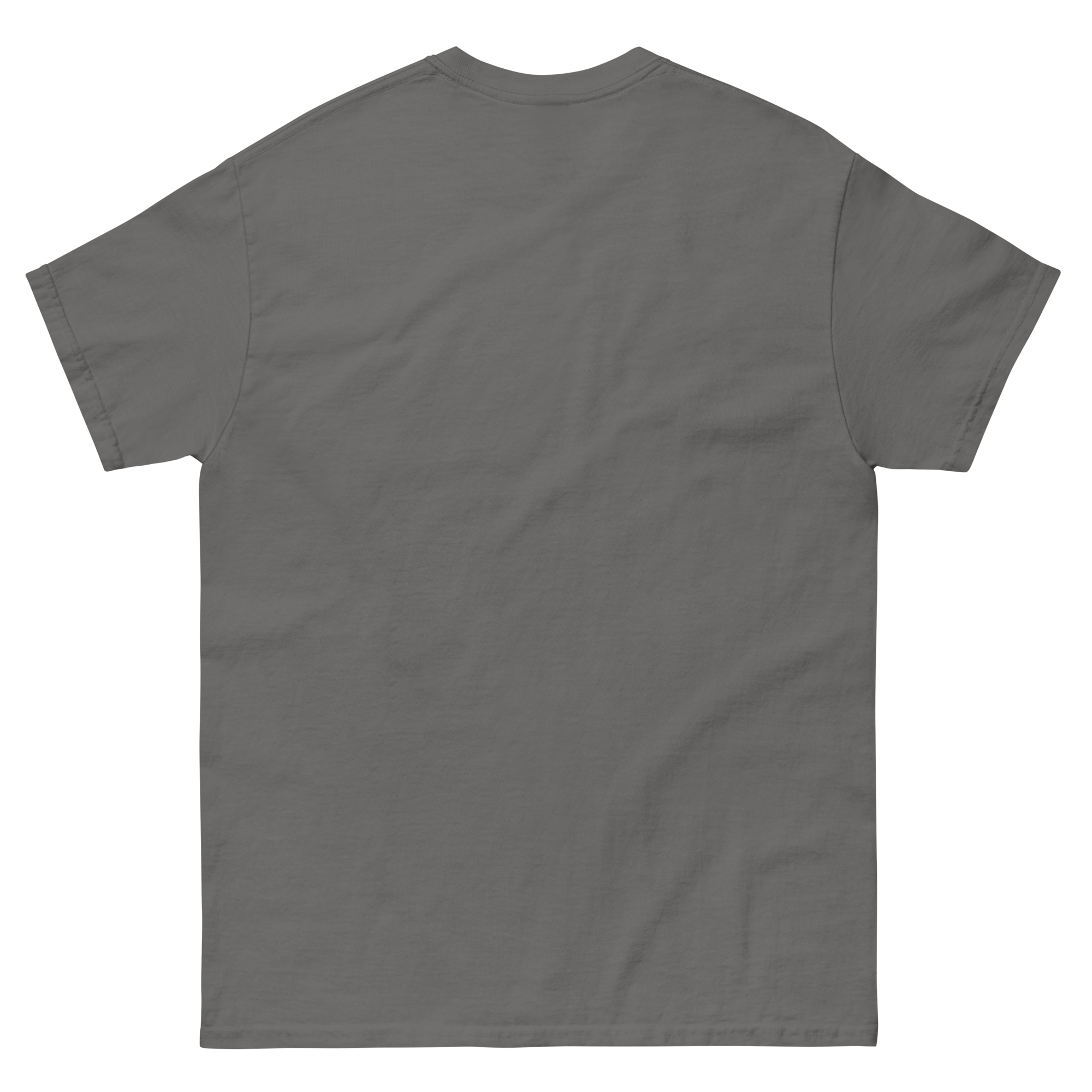 unisex-classic-tee-charcoal-back-6755d435c8b80.png