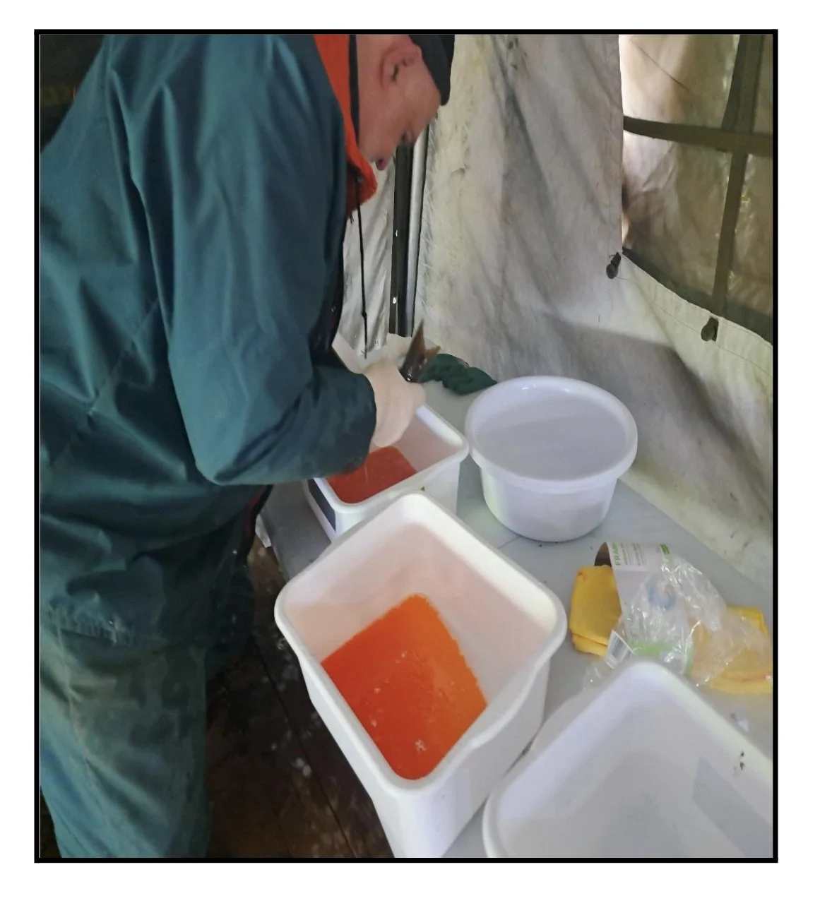 Image 2025-12-10 at 5.45 PM.jpeg