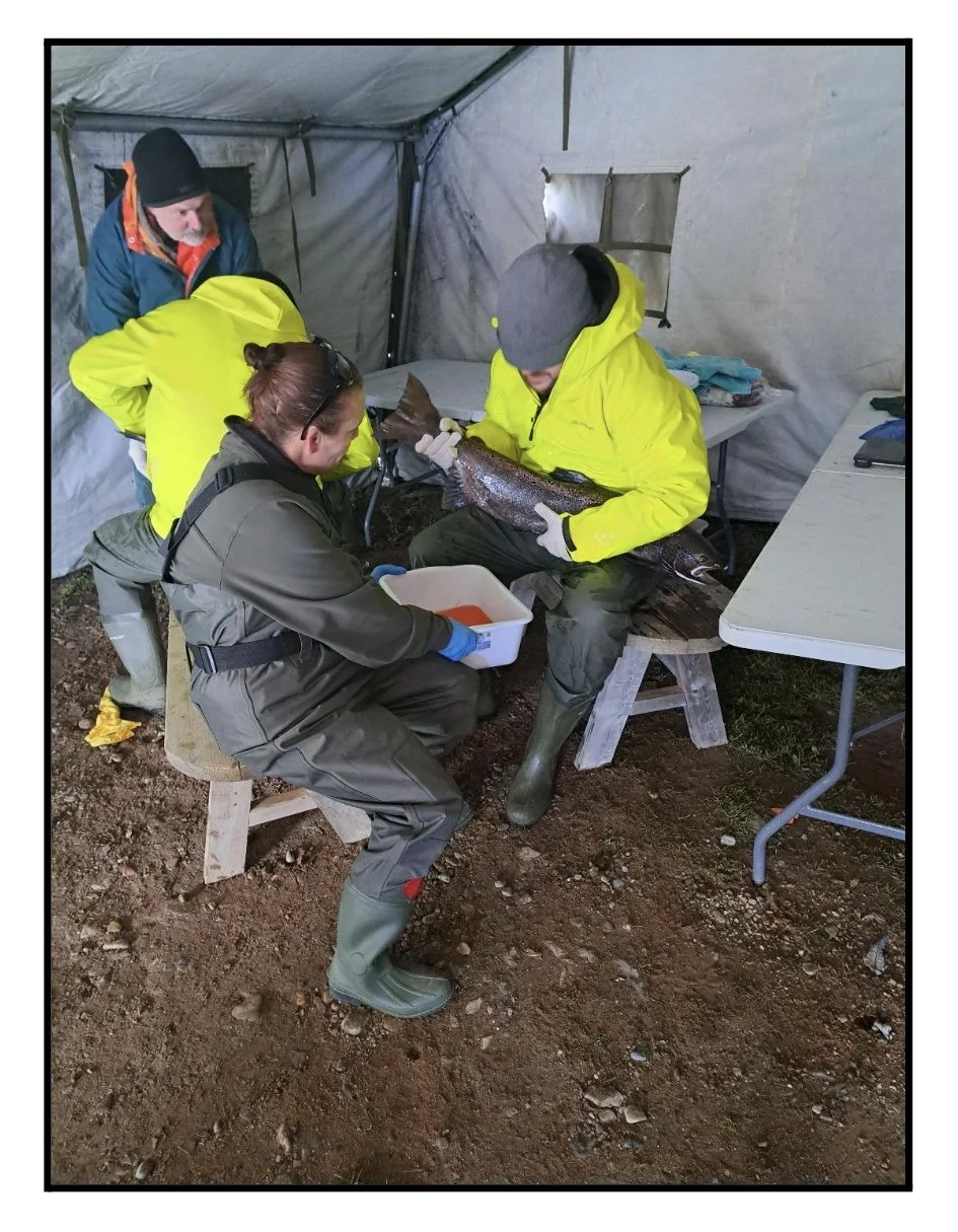 Image 2025-12-10 at 5.43 PM.jpeg