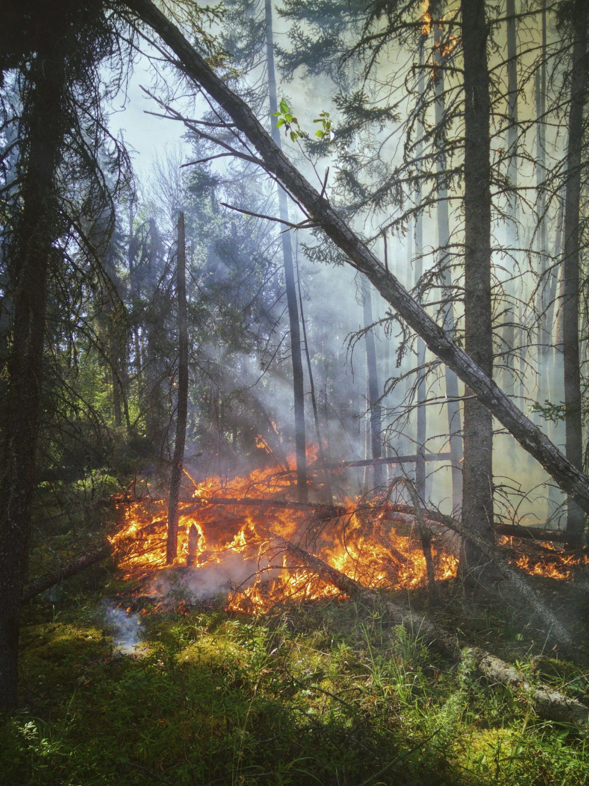 Fire Status Update from Sarah Weatherby - Department of Indigenous Affairs Government of New Brunswick