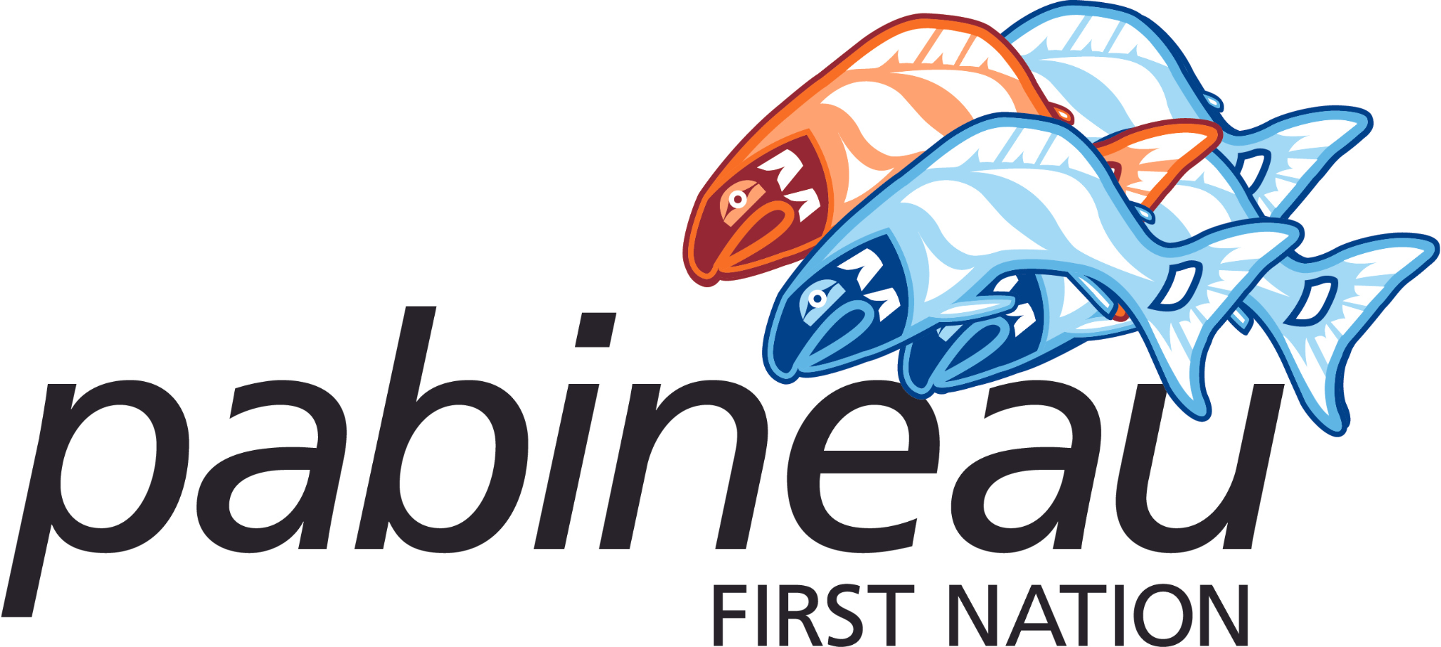 Message from the Chief: A Year of Growth and Momentum in Pabineau