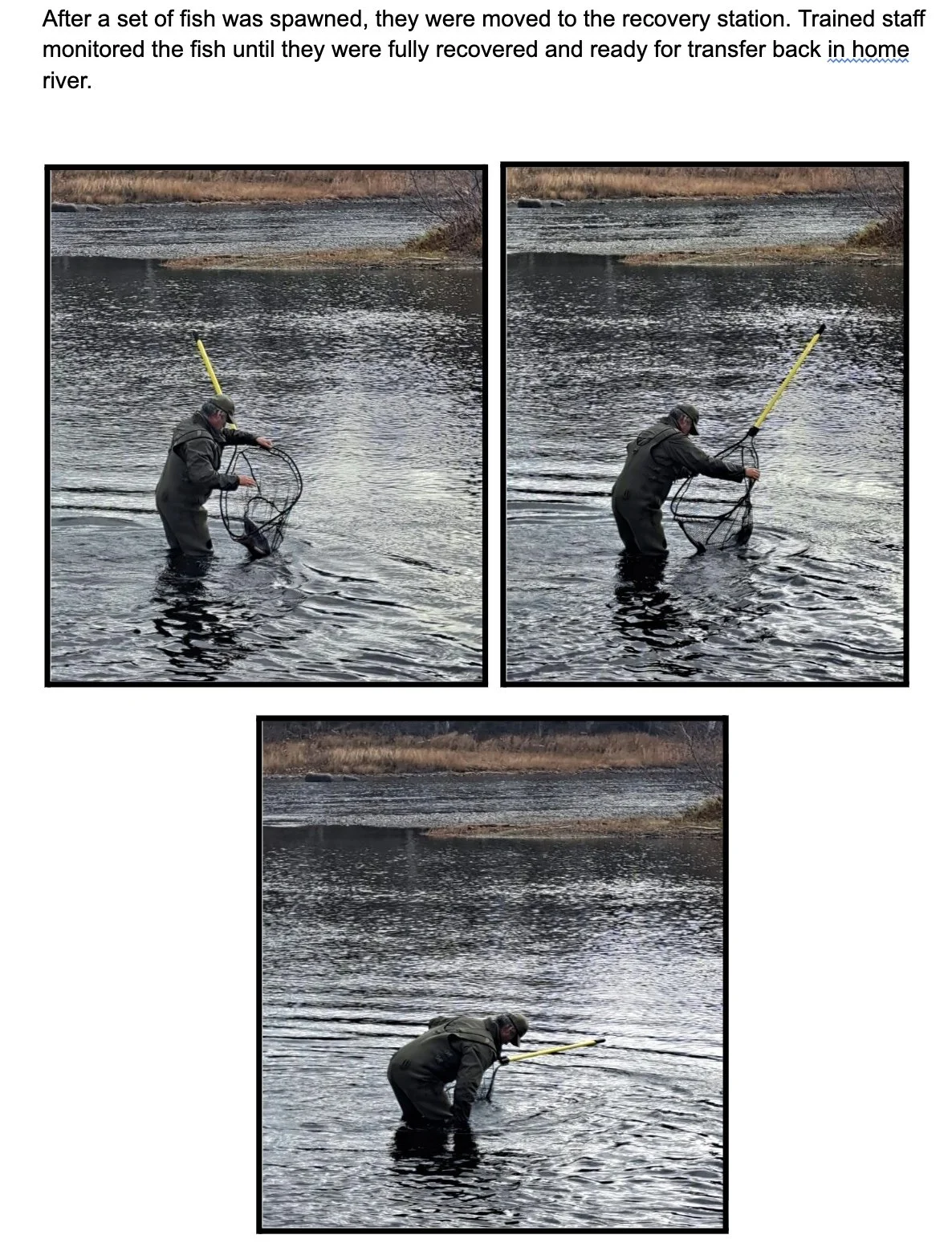 Image 2025-12-10 at 5.47 PM (1).jpeg