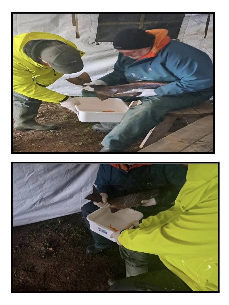 Image 2025-12-10 at 5.44 PM (2).jpeg