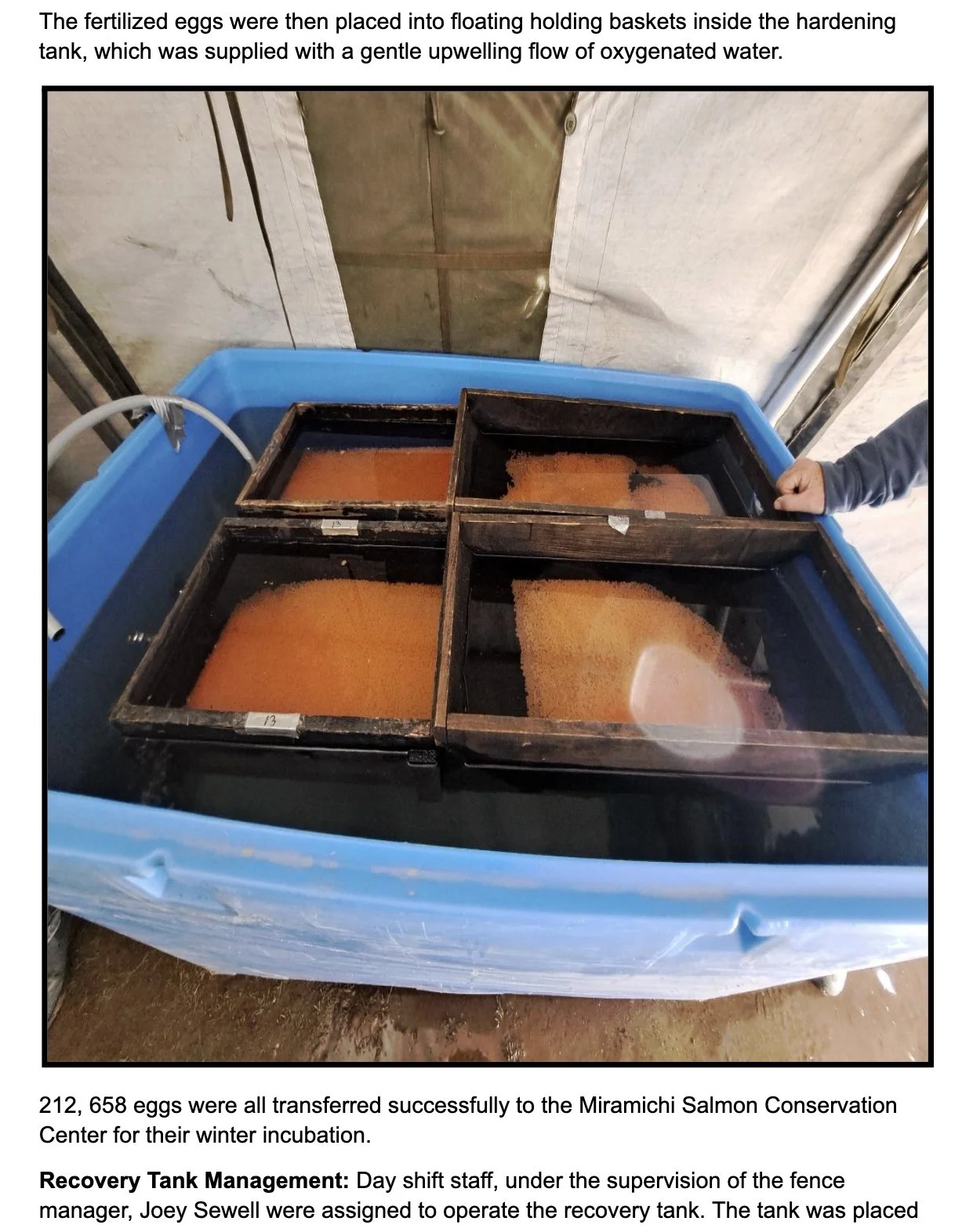 Image 2025-12-10 at 5.46 PM.jpeg