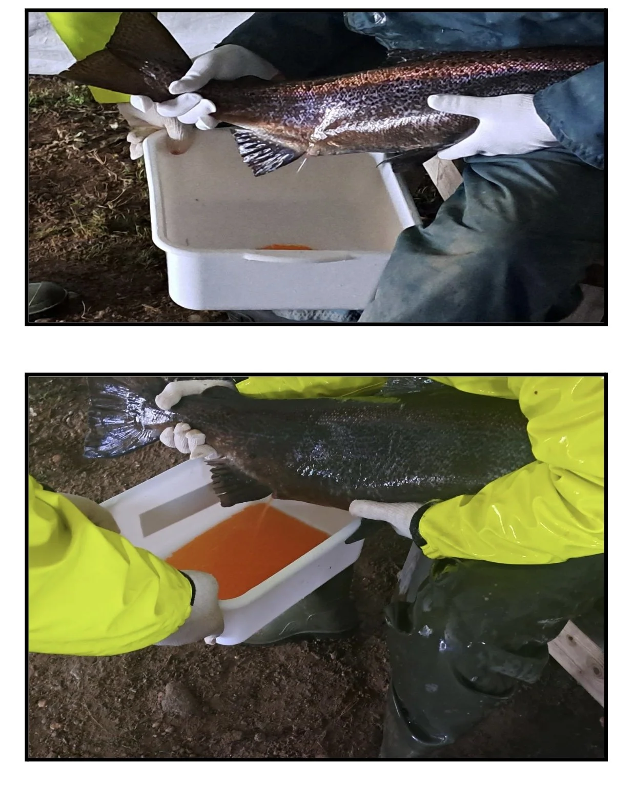 Image 2025-12-10 at 5.44 PM (1).jpeg