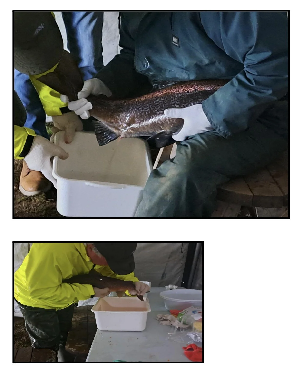 Image 2025-12-10 at 5.43 PM (1).jpeg