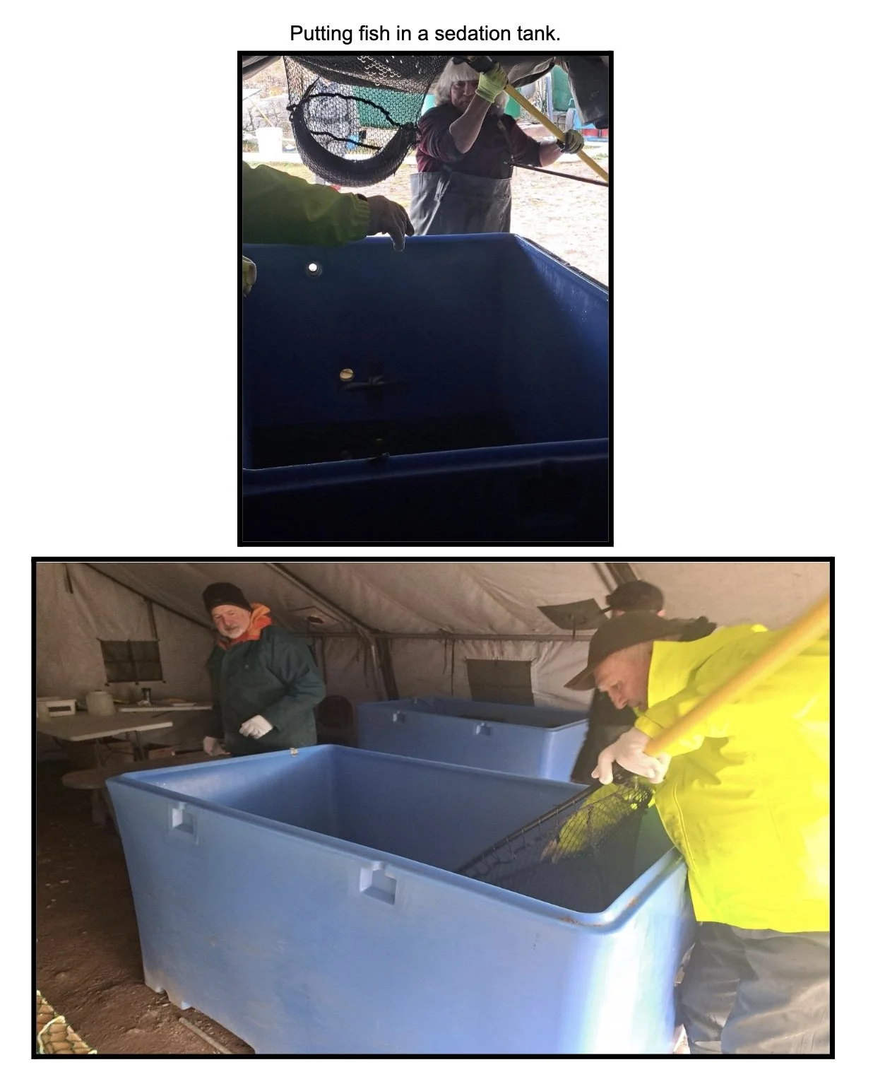 Image 2025-12-10 at 5.39 PM.jpeg