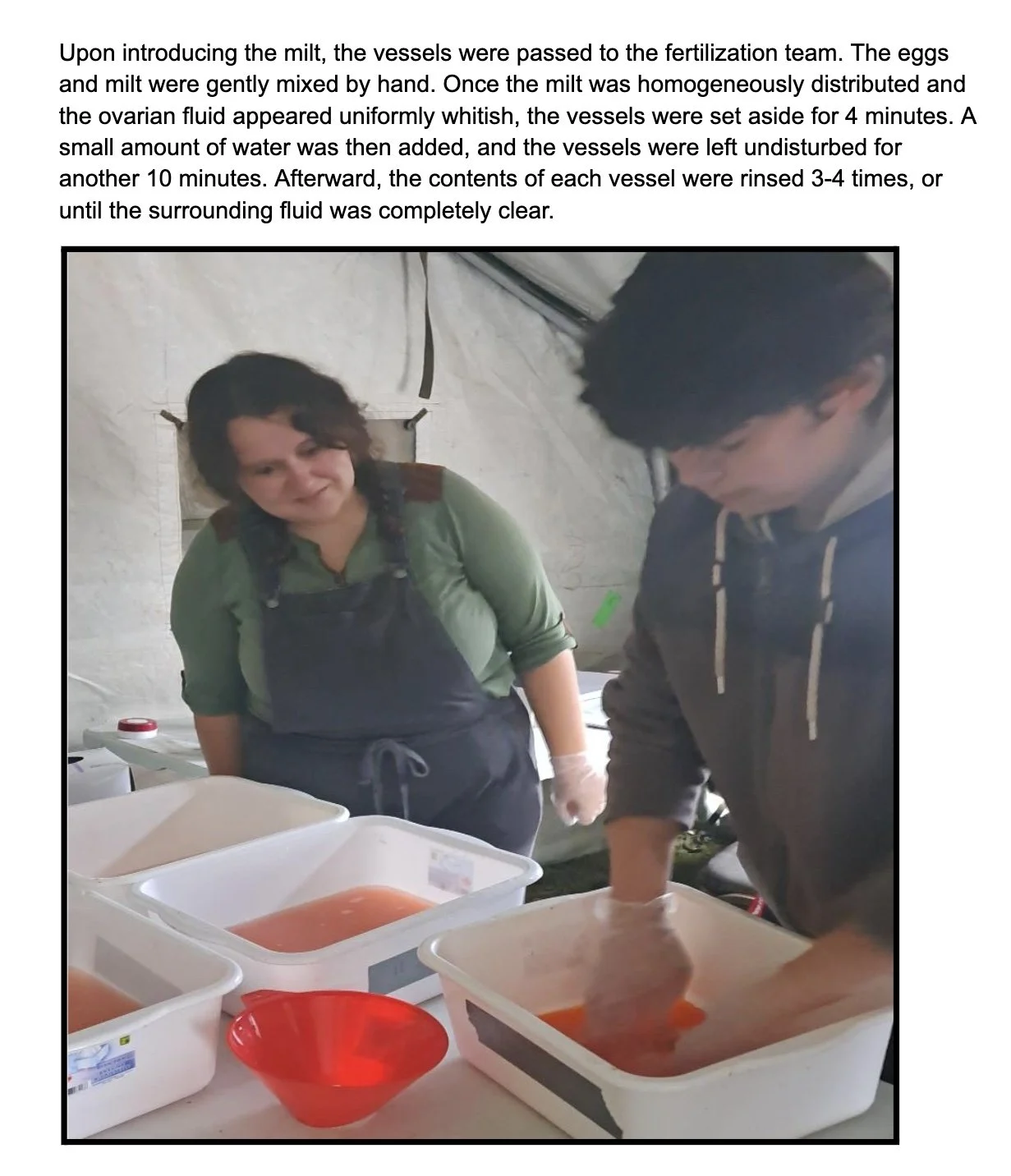 Image 2025-12-10 at 5.45 PM (1).jpeg