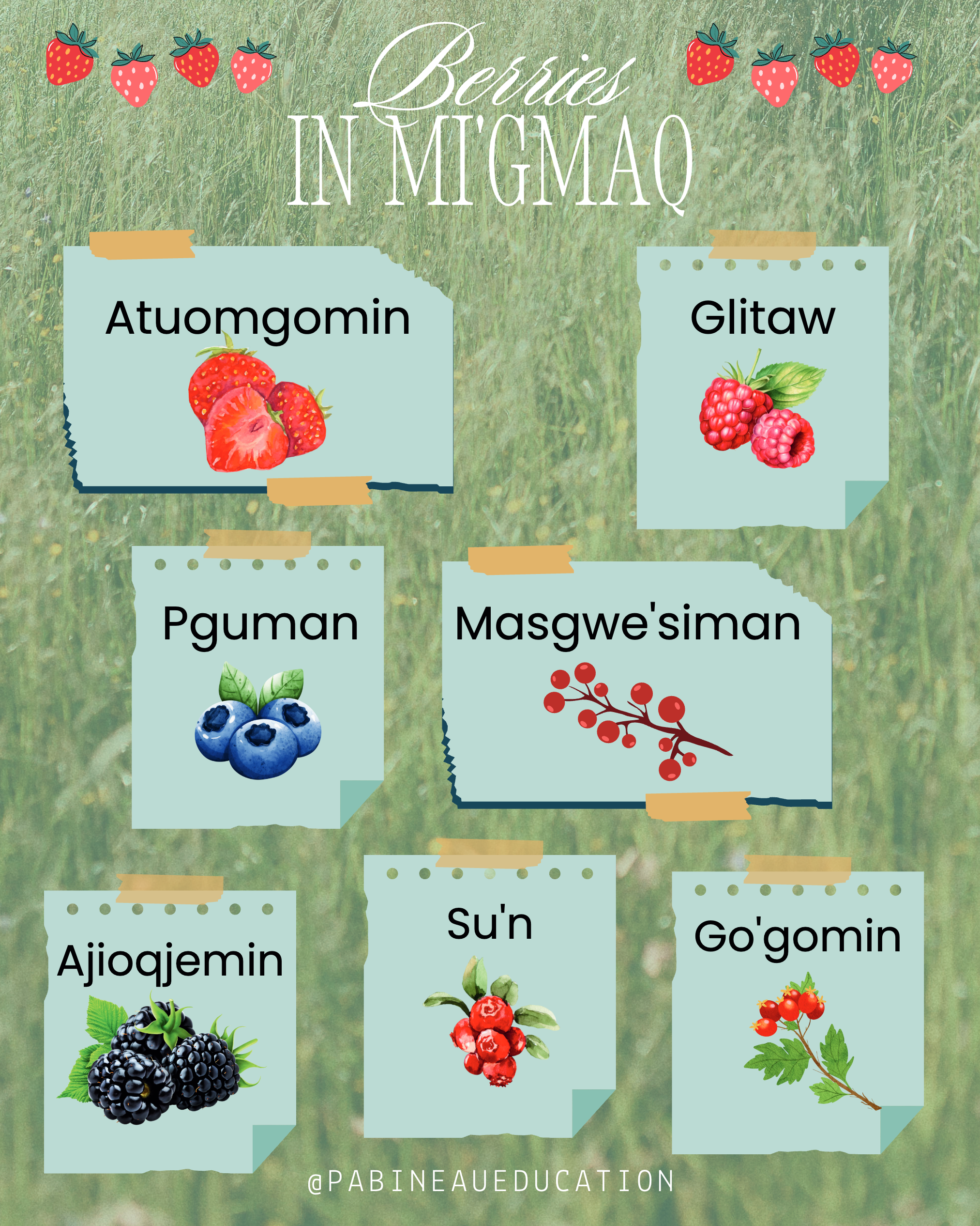 berries language project.png