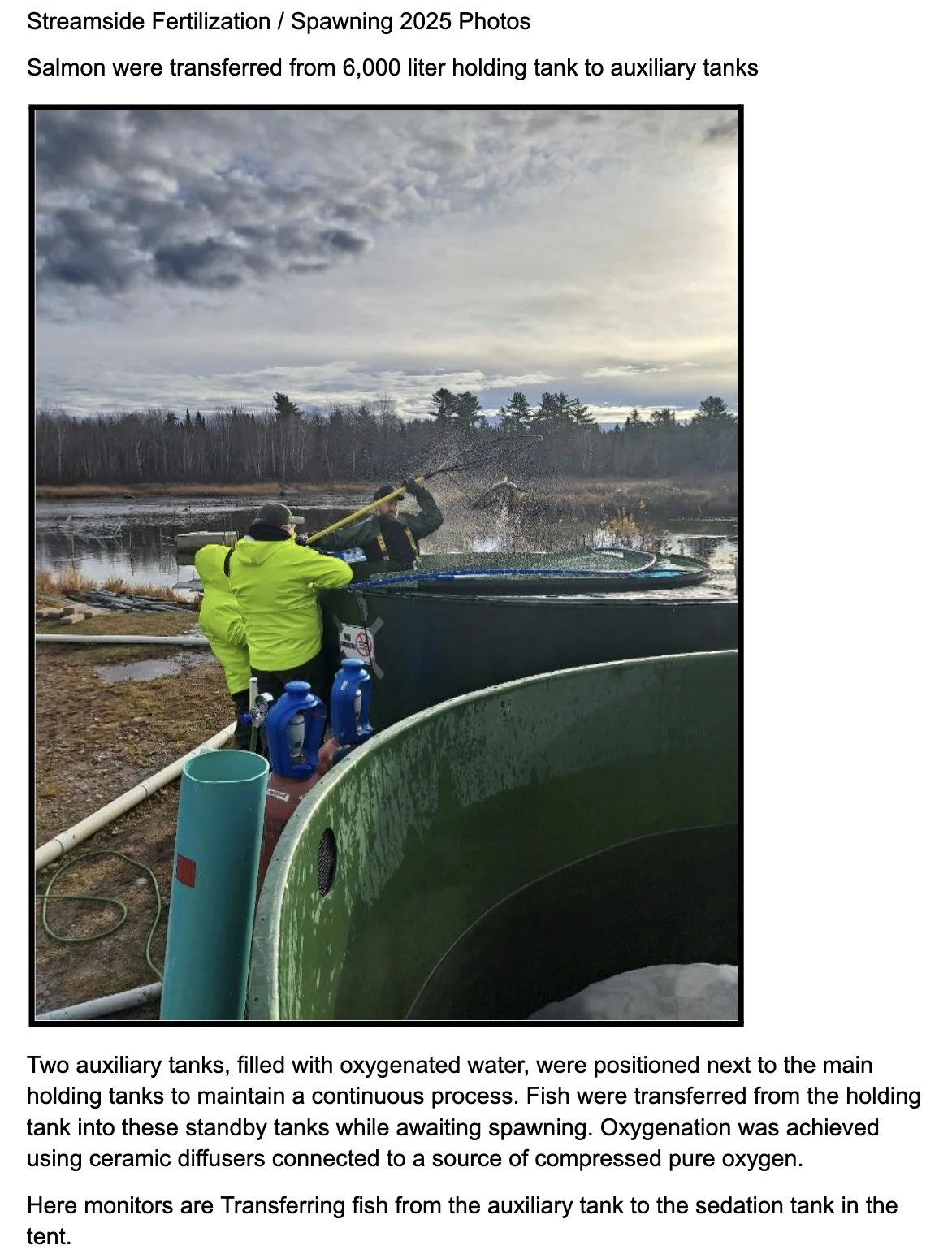 Image 2025-12-10 at 5.38 PM.jpeg