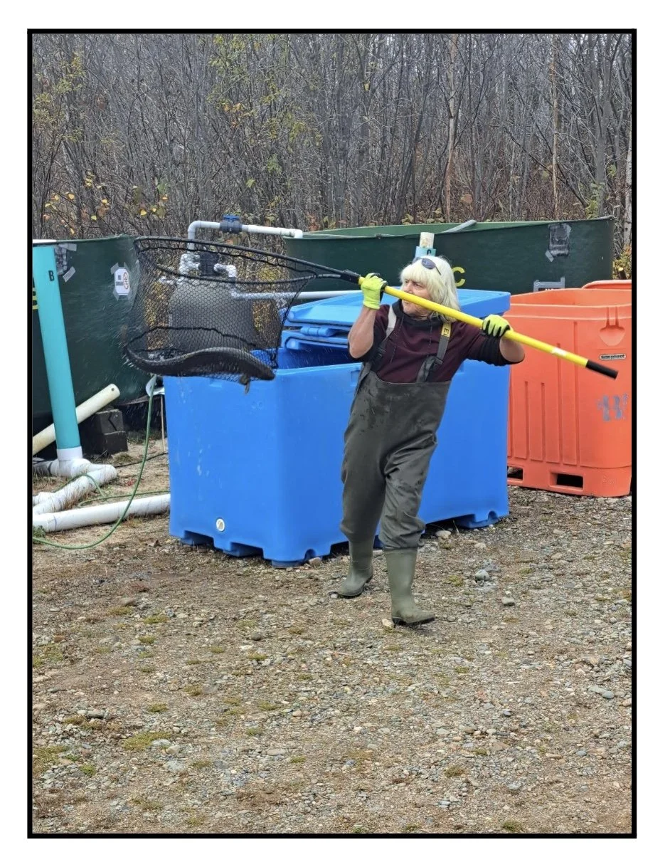 Image 2025-12-10 at 5.38 PM (1).jpeg