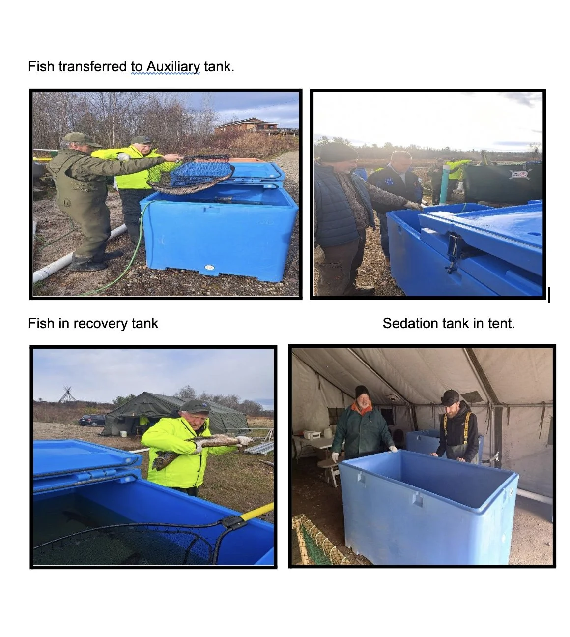 Image 2025-12-10 at 5.48 PM.jpeg