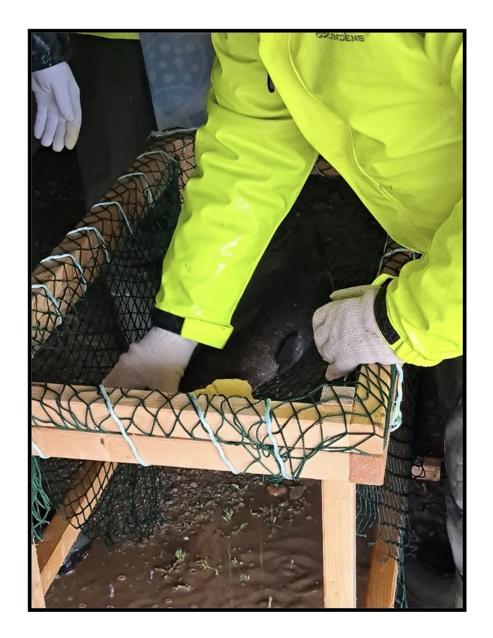 Image 2025-12-10 at 5.41 PM.jpeg