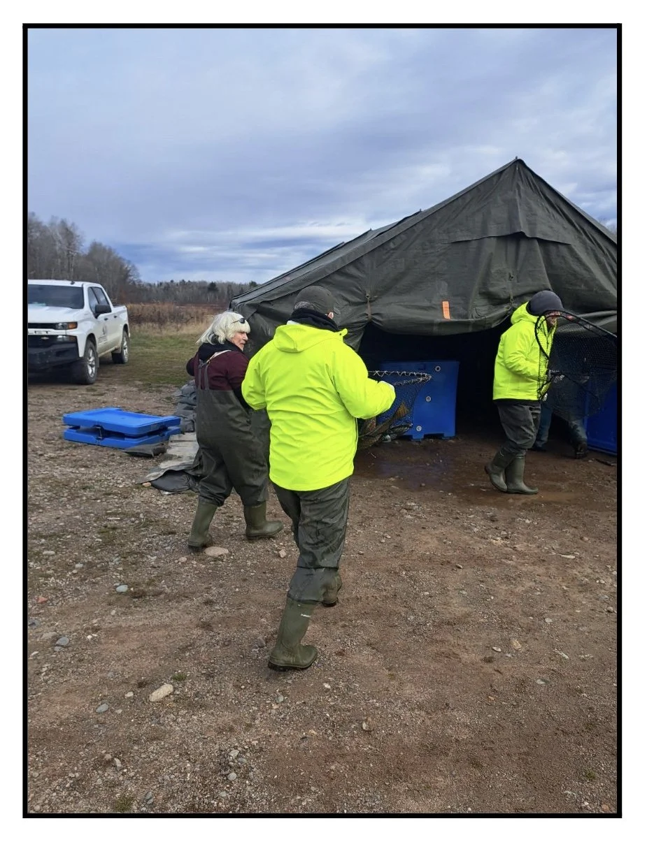 Image 2025-12-10 at 5.38 PM (2).jpeg