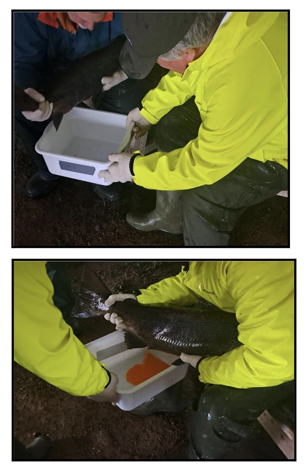 Image 2025-12-10 at 5.44 PM.jpeg