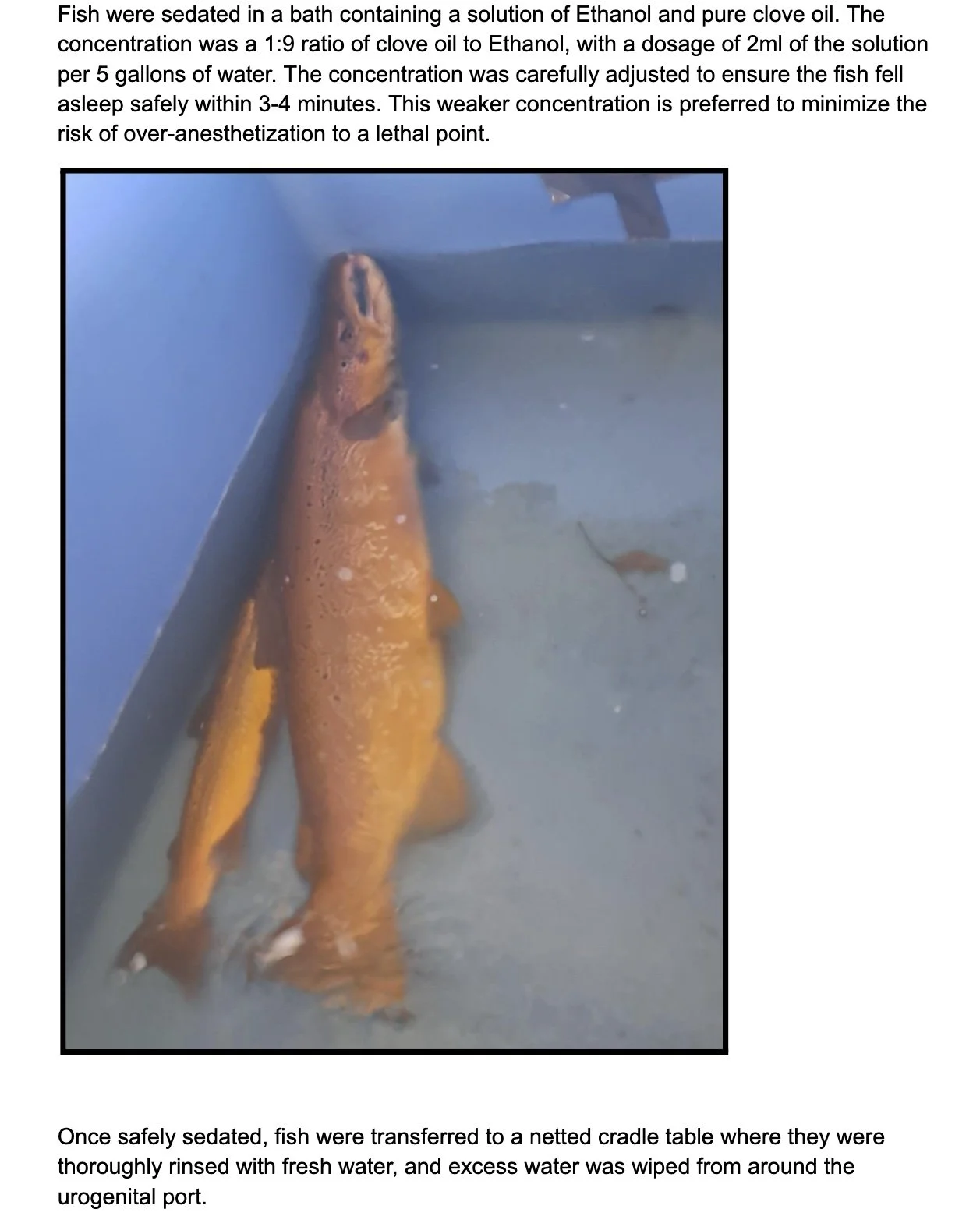 Image 2025-12-10 at 5.40 PM.jpeg