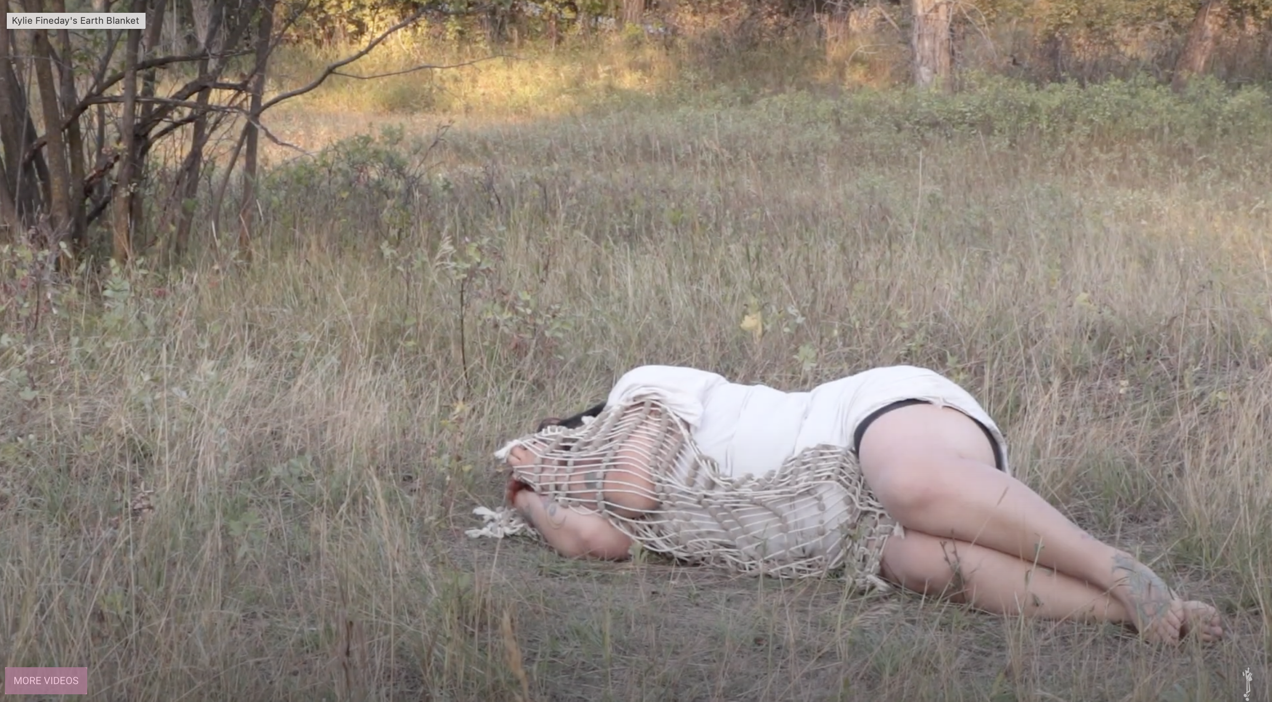 EarthBlanket Still2.png