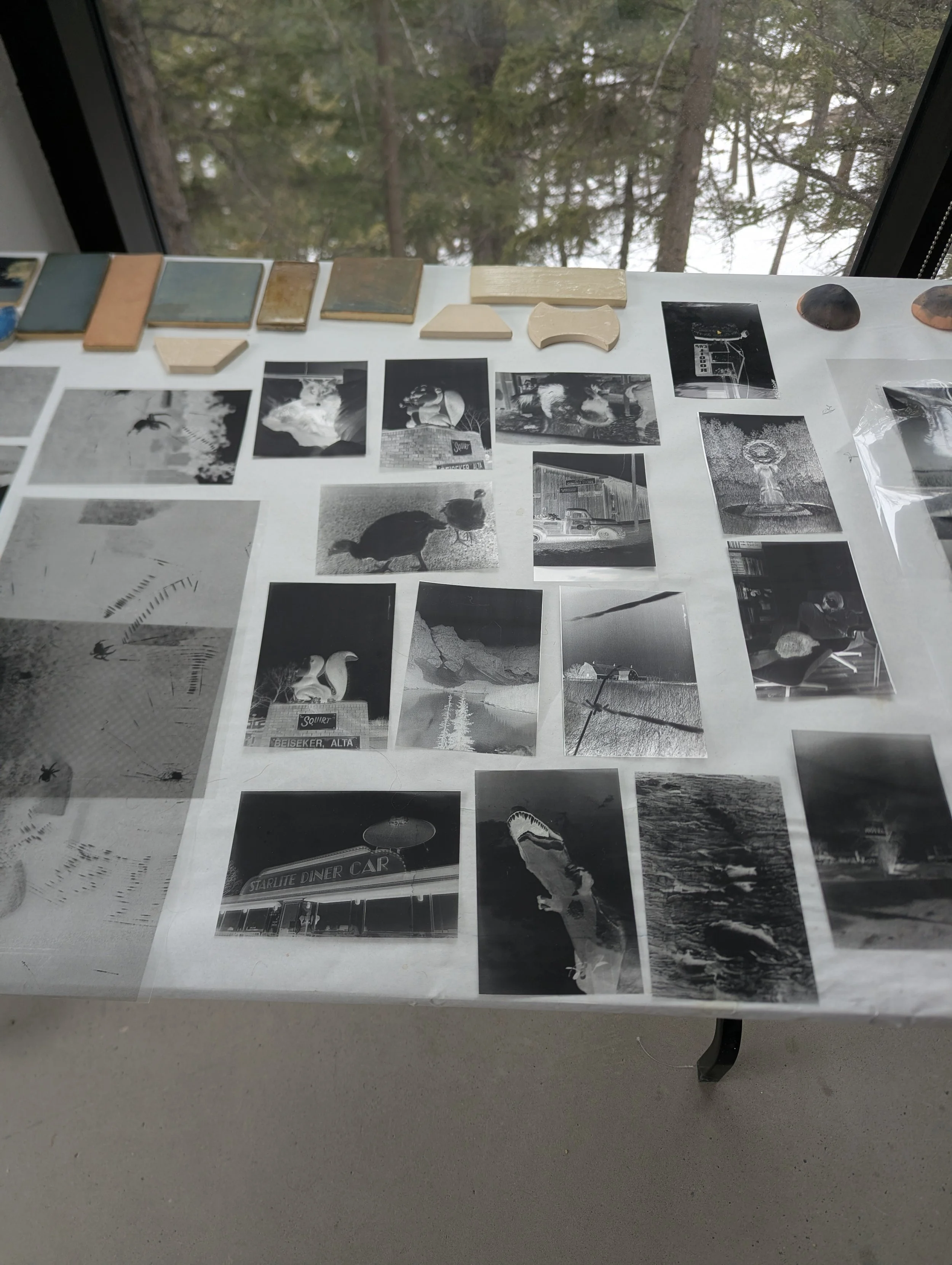 PXL_20260401_204435734.jpg