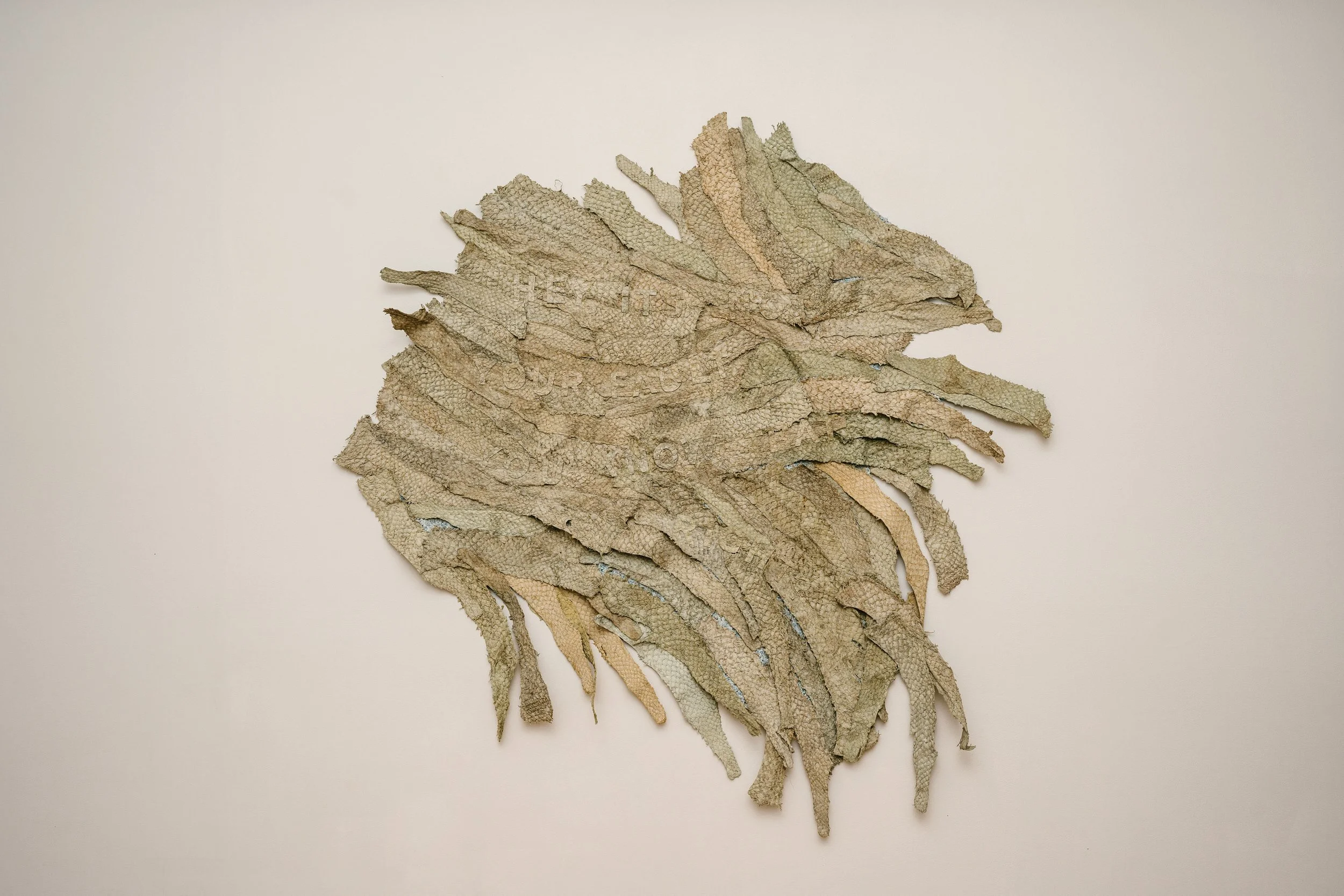 Image 7.jpg