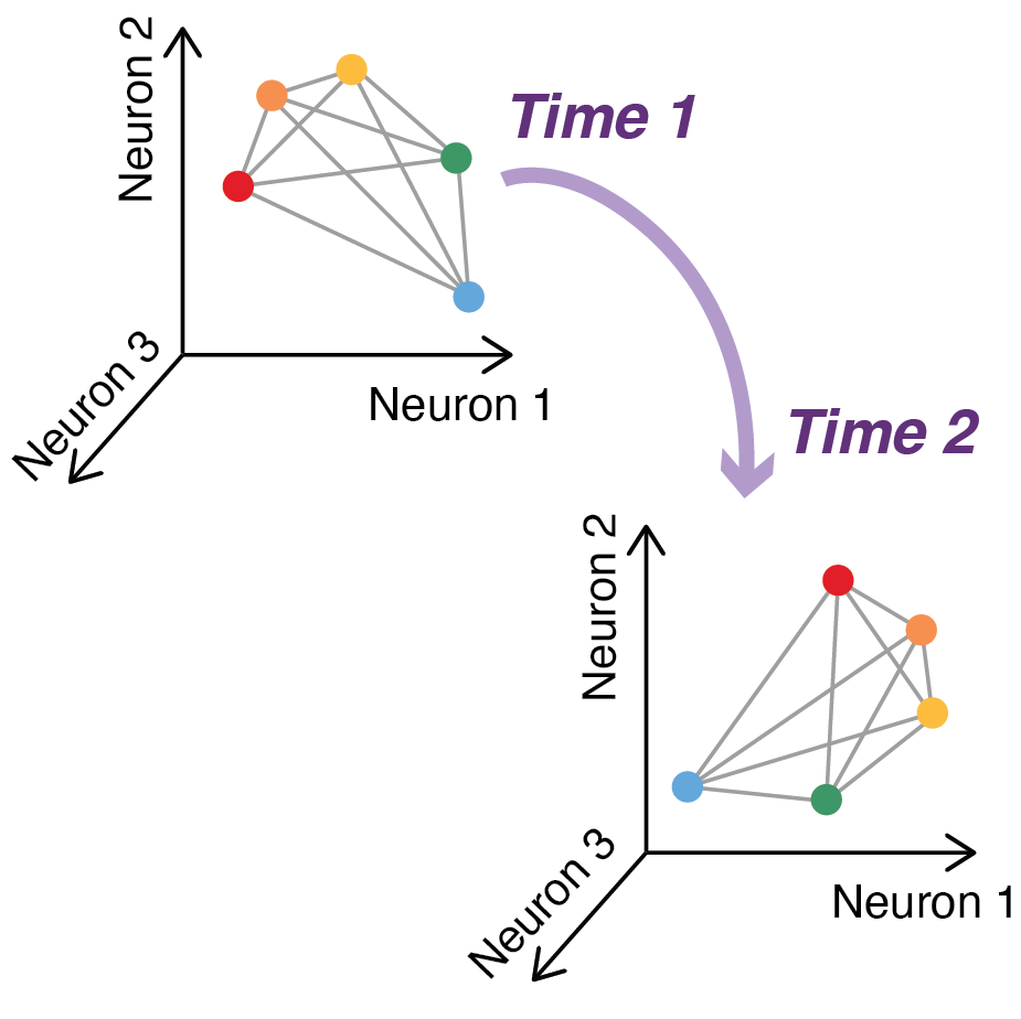 Preserved geometry during representational drift enables stable perception and memory
