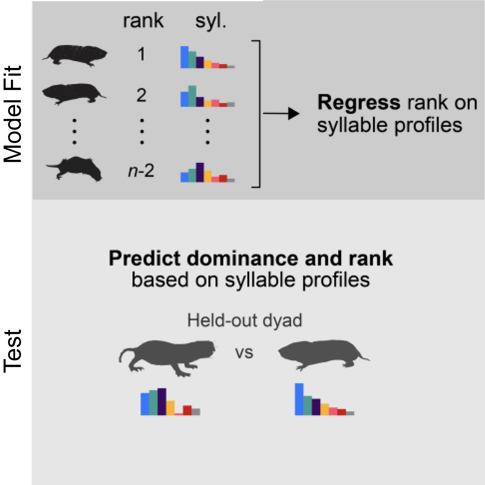 Spontaneous behavior predicts colony membership, individual identity, and rank in naked mole-rat societies