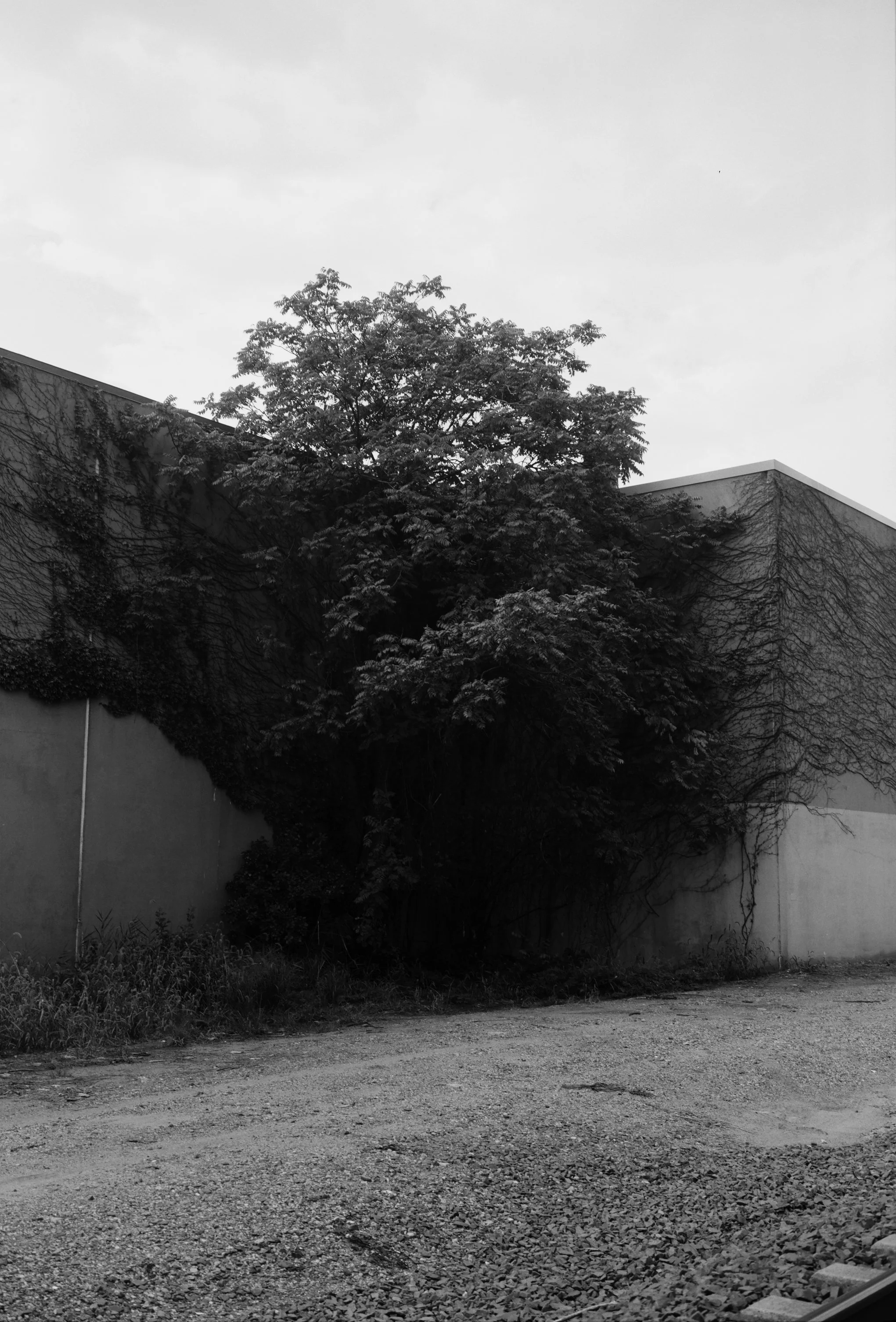 000483190006.jpg
