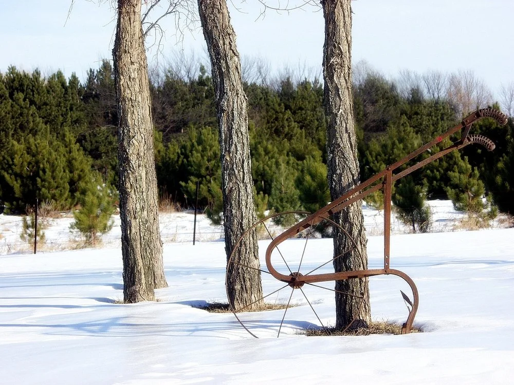 Iowa Land Auction Prices, December 6-12, 2025