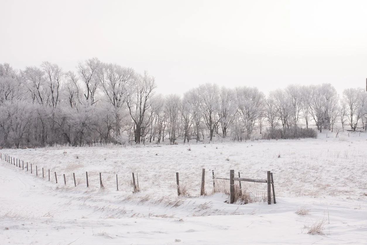 Iowa Land Auction Prices, January 17-23, 2026