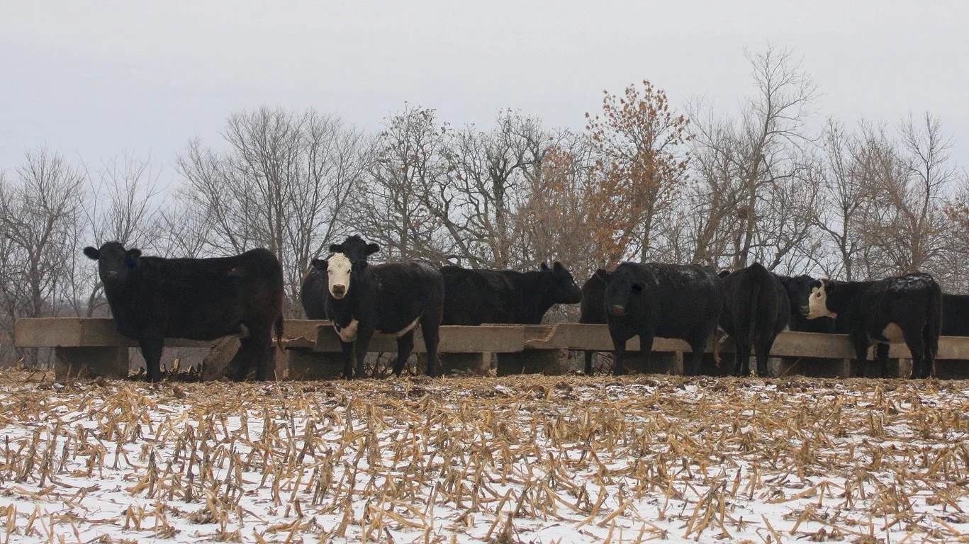 Iowa Land Auction Prices, January 24-30, 2026