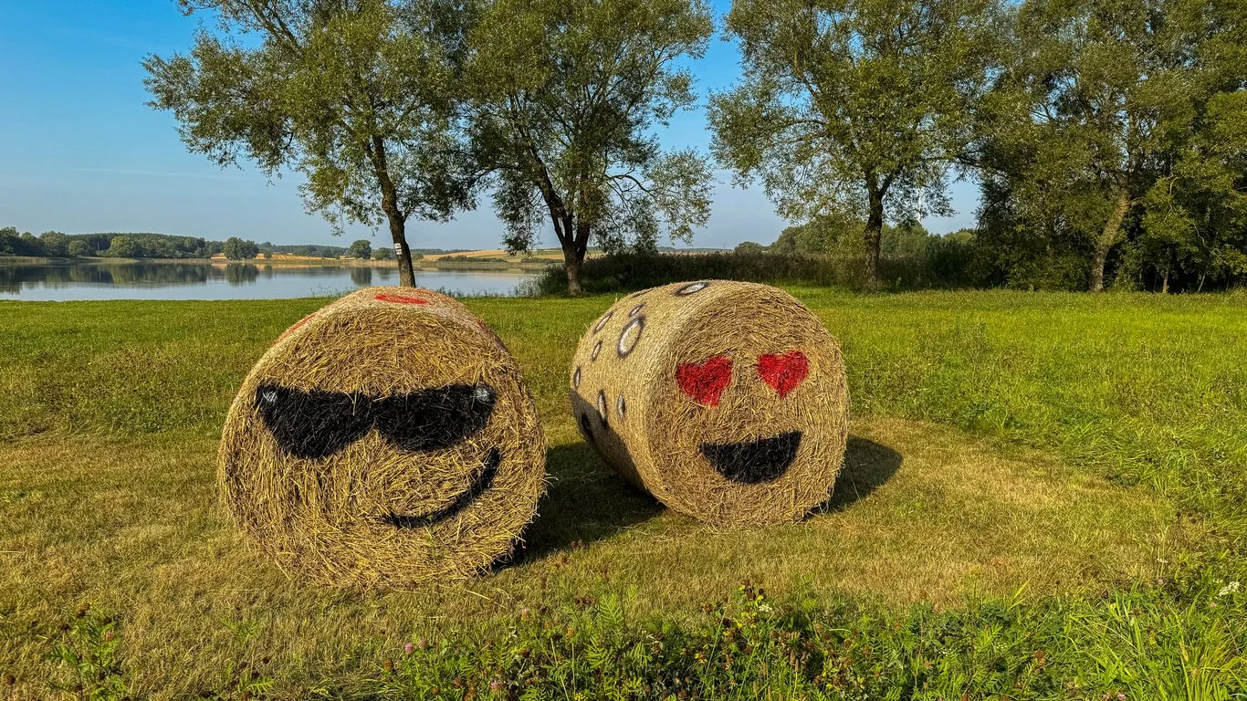 Iowa Land Auction Prices, February 7-13, 2026