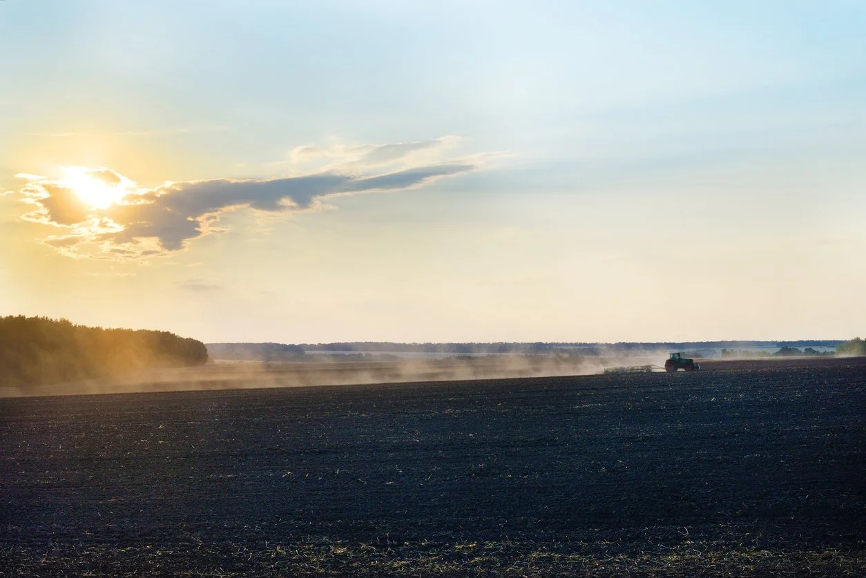 Iowa Land Auction Prices, May 30-June 5, 2026
