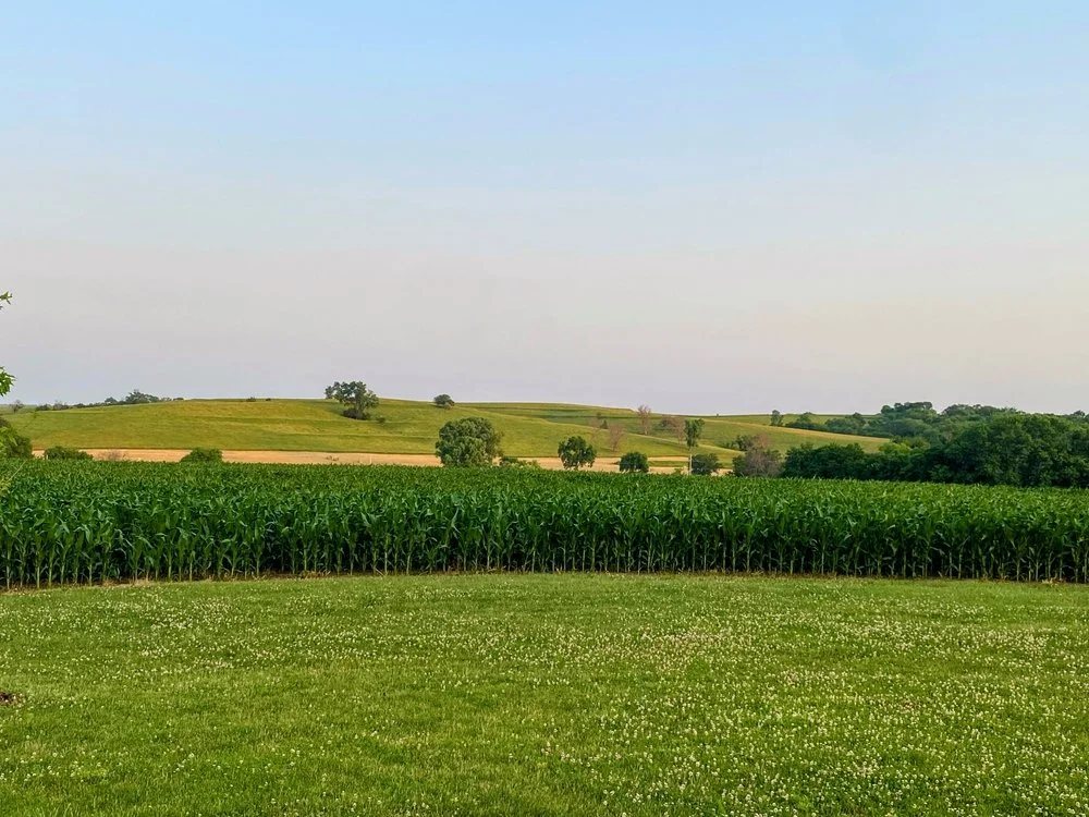 Iowa Land Auction Prices, July 4-10, 2026