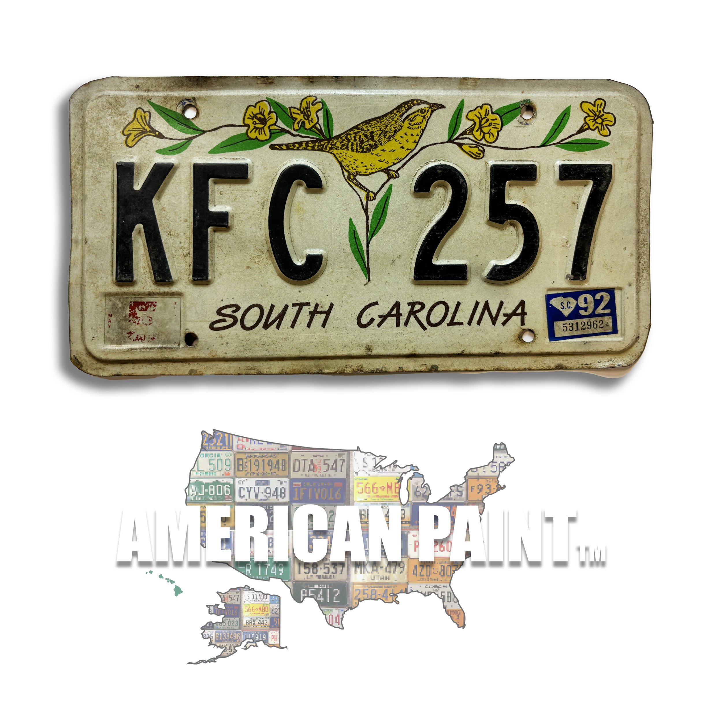 South Carolina.jpg