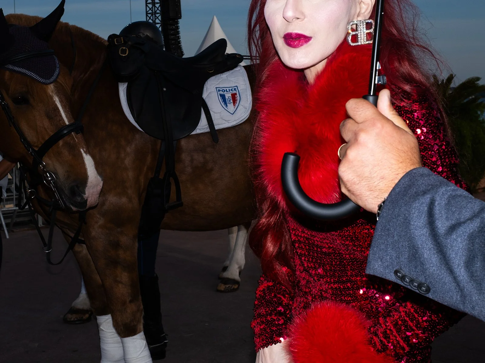 DSCF6228-3 copie.jpg