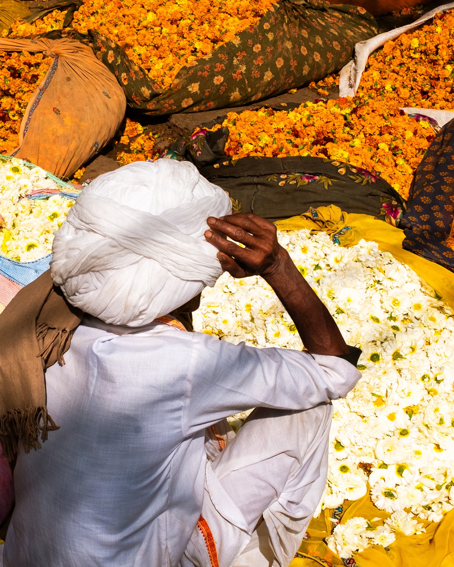 Photo_Inde-2.jpg