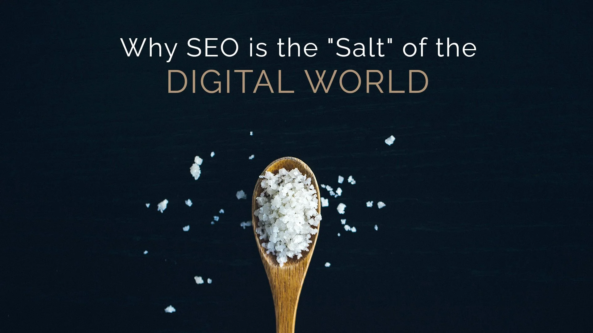 THE ALCHEMY OF SEARCH