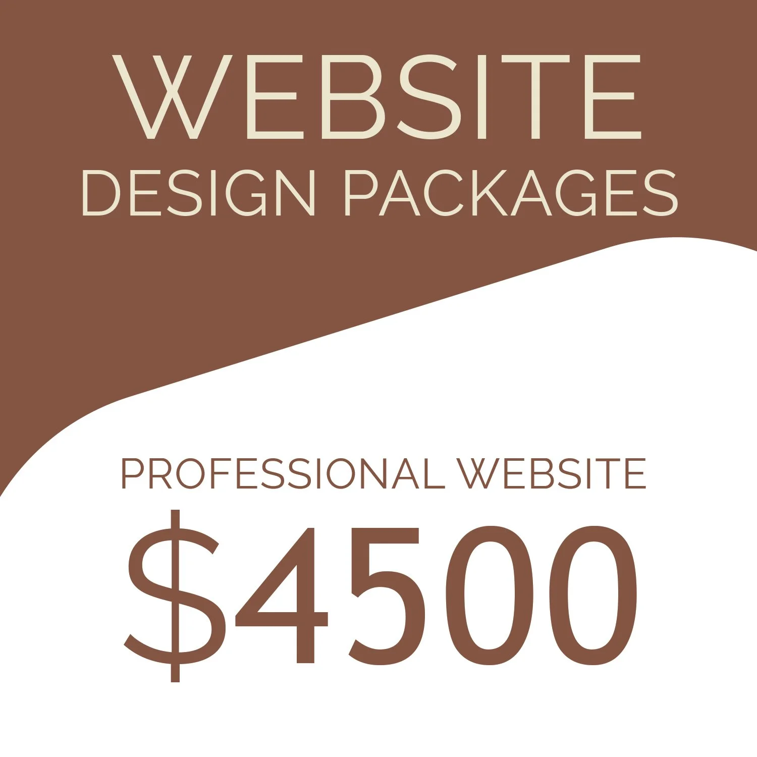 WEBSITE DESIGN - PROFESSIONAL WEBSITE PACKAGE