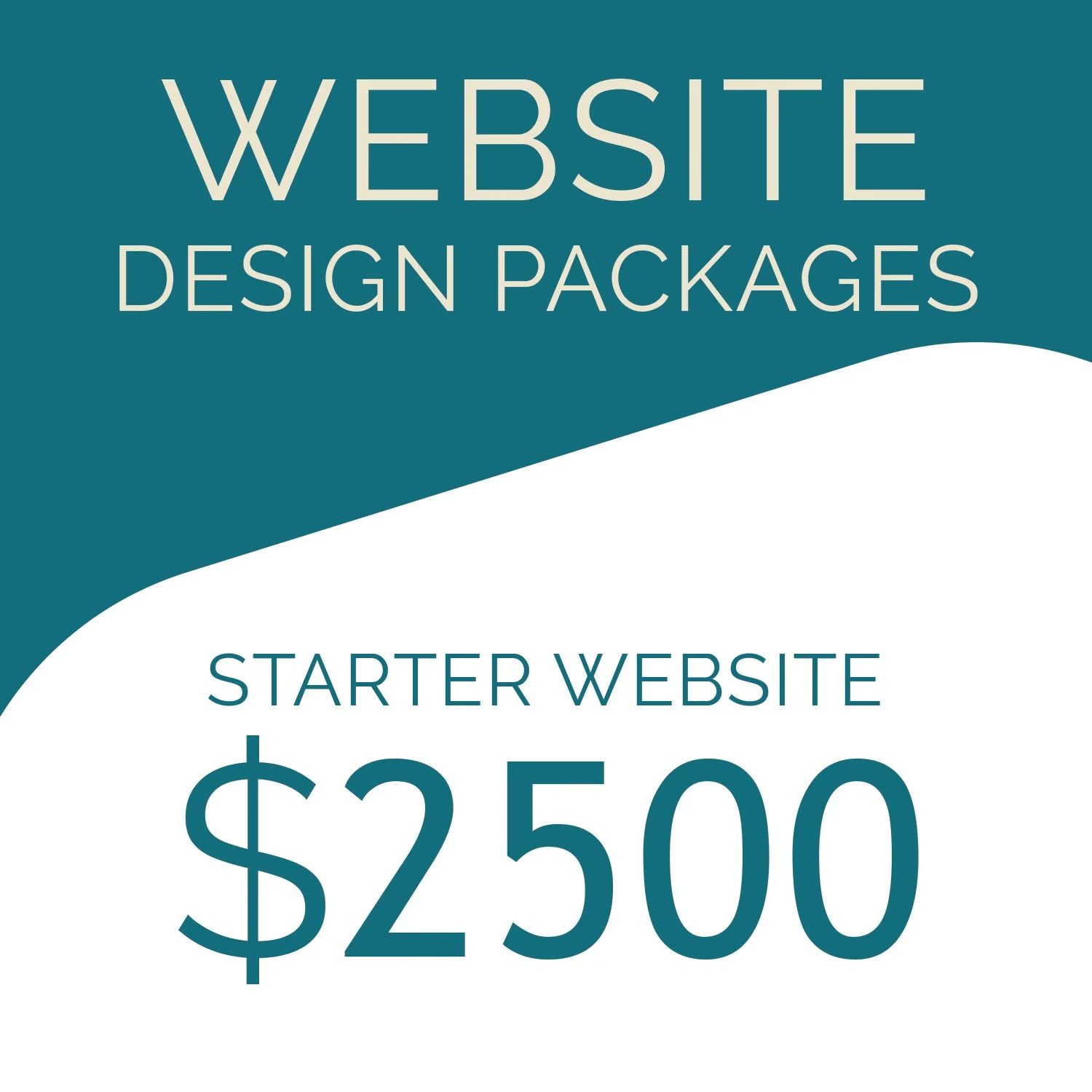 WEBSITE DESIGN - STARTER WEBSITE PACKAGE