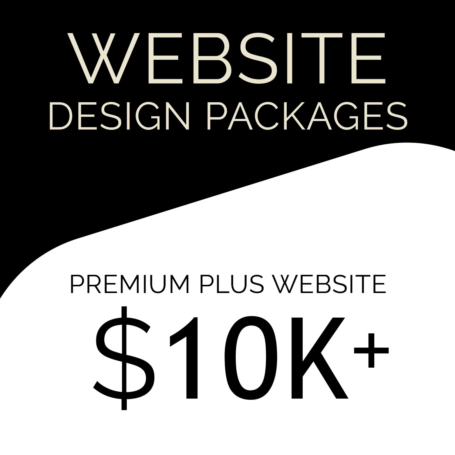 WEBSITE DESIGN - PREMIUM PLUS WEBSITE PACKAGE