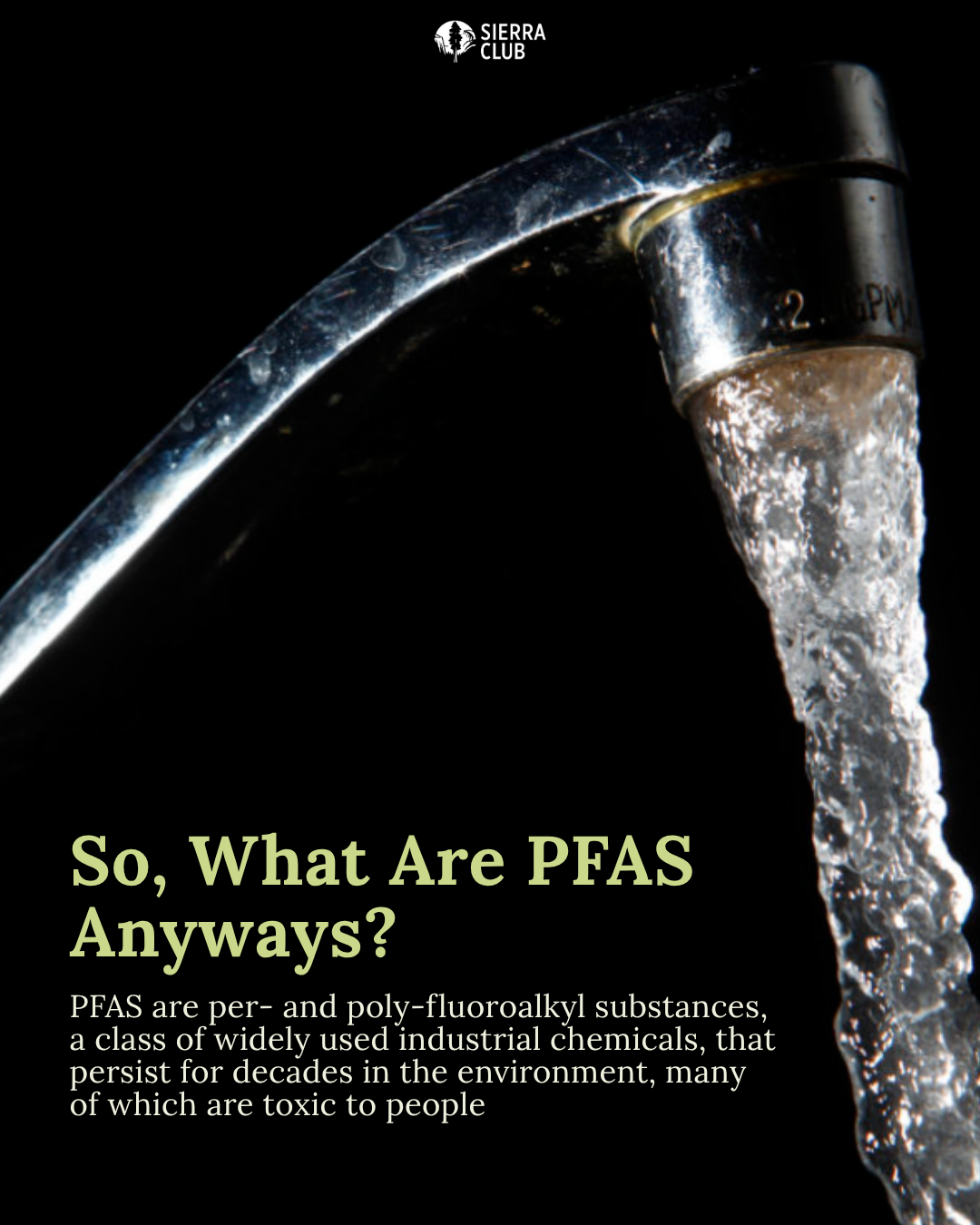 Sierra Club Social Design