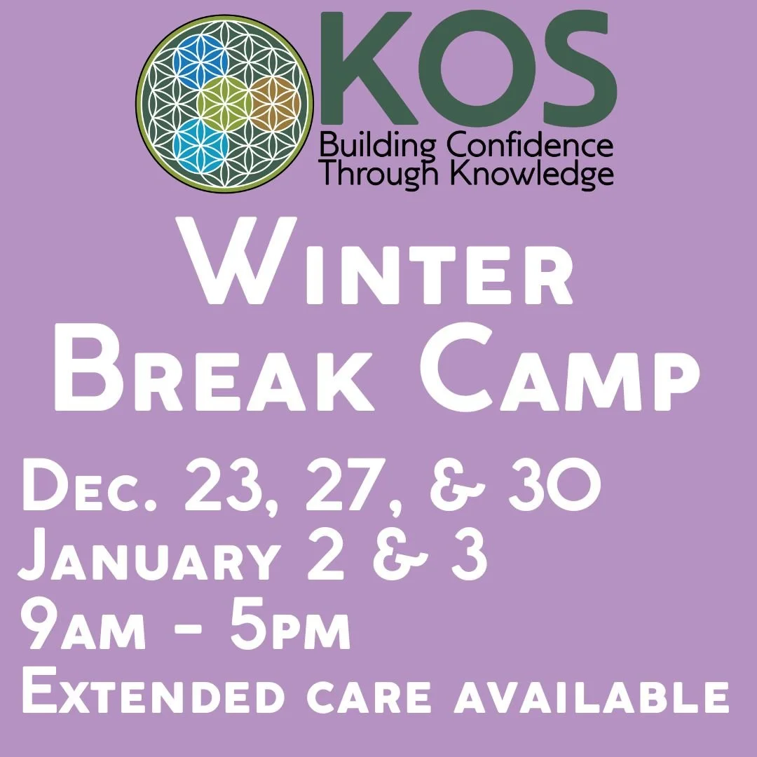 Winter Break Camp