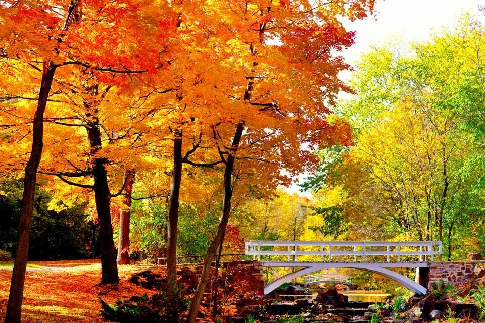 October Is Fall Let’s Make This October One to Remember — Nora Bordeleau