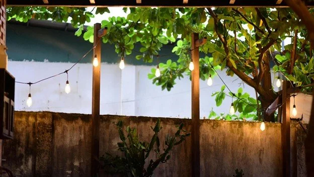 Why We’re the Backyard Landscape Lighting Installer in Kansas City that People Trust