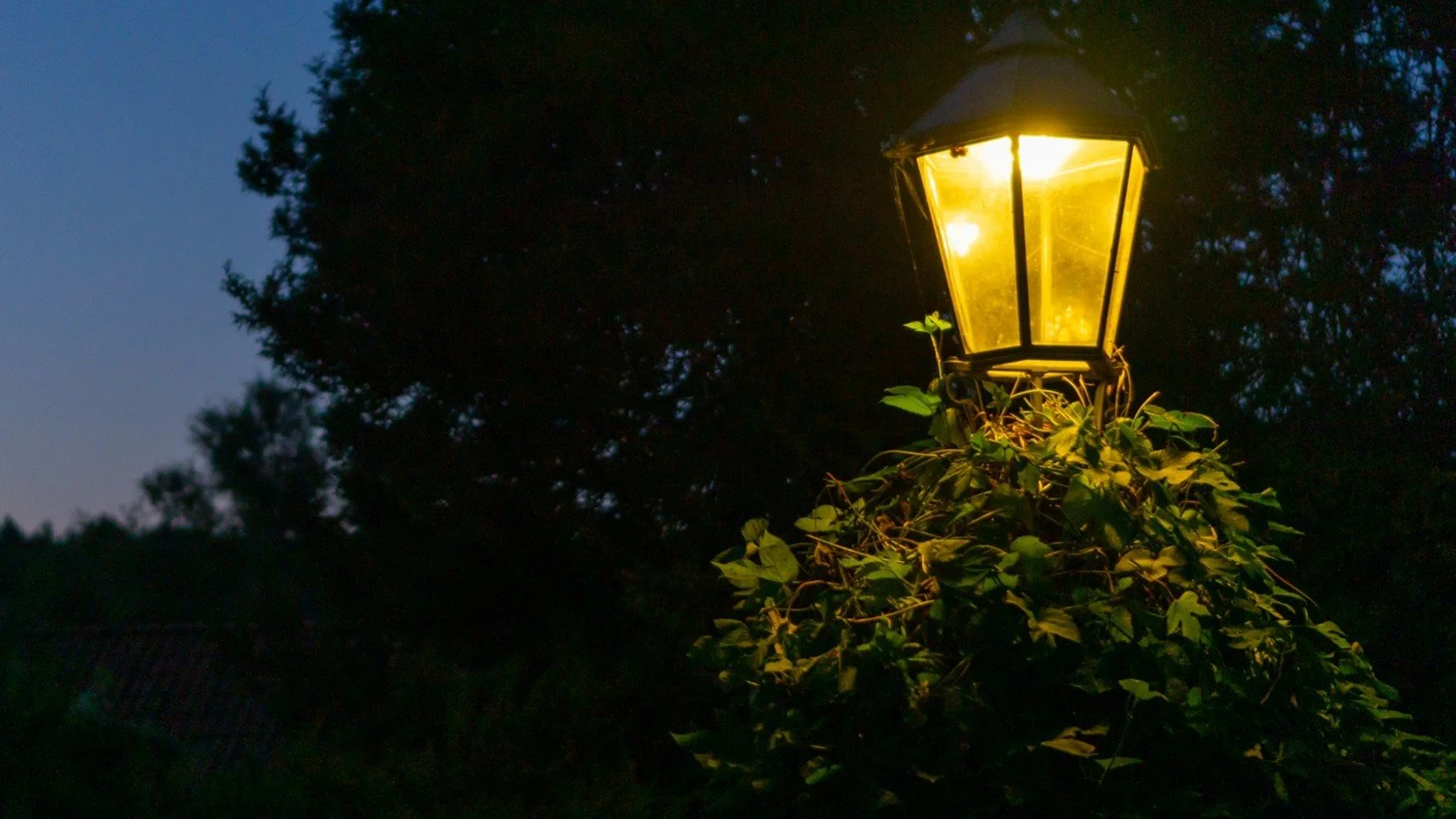 Is Outdoor Lighting Worth It in Liberty?