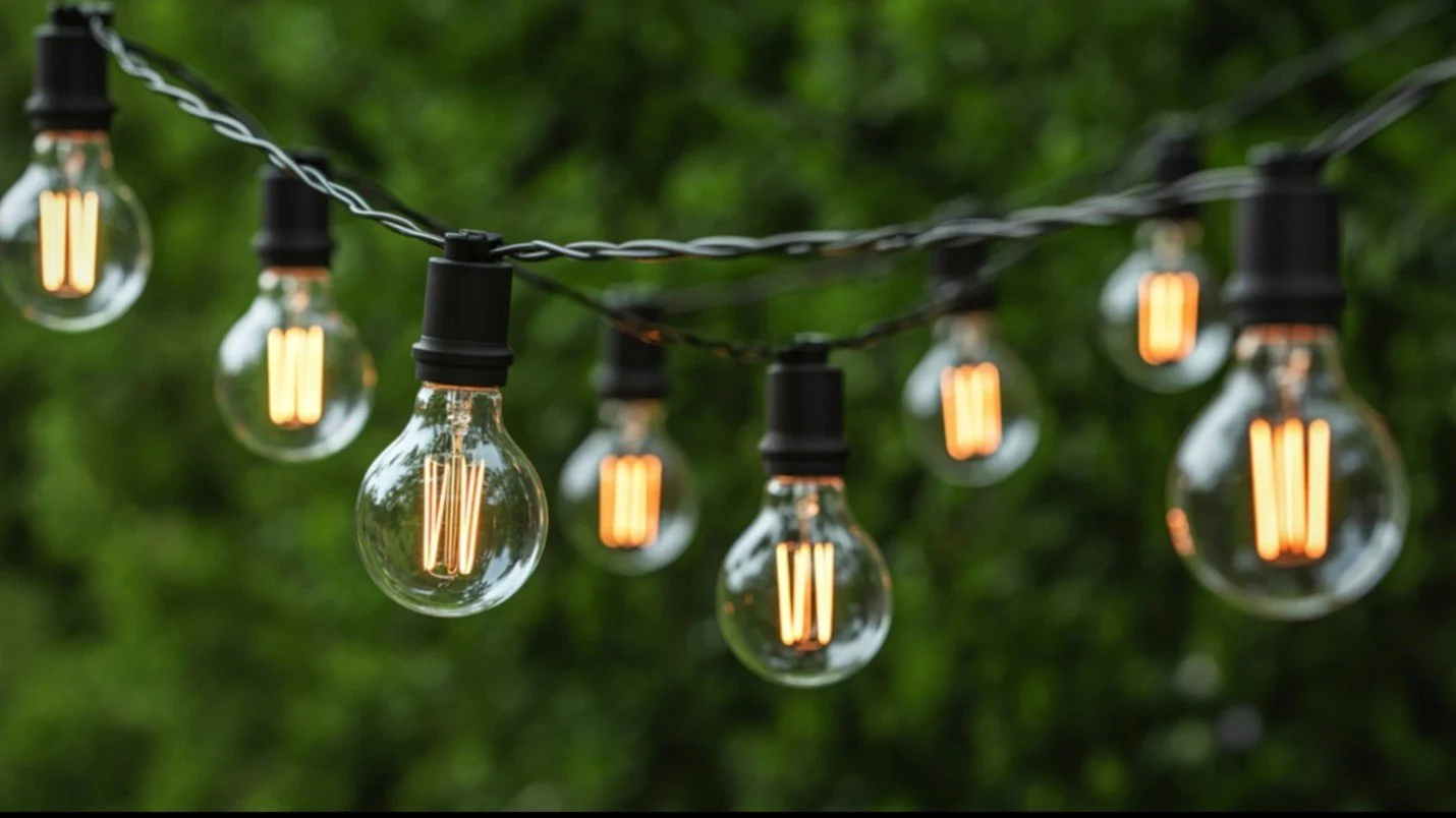 Why Having A Professional Landscape Lighting Company in Staley Farms Can Be Helpful For You