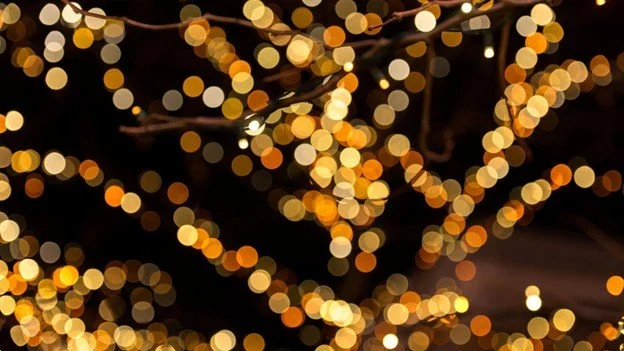 Holiday light installer in Kansas City