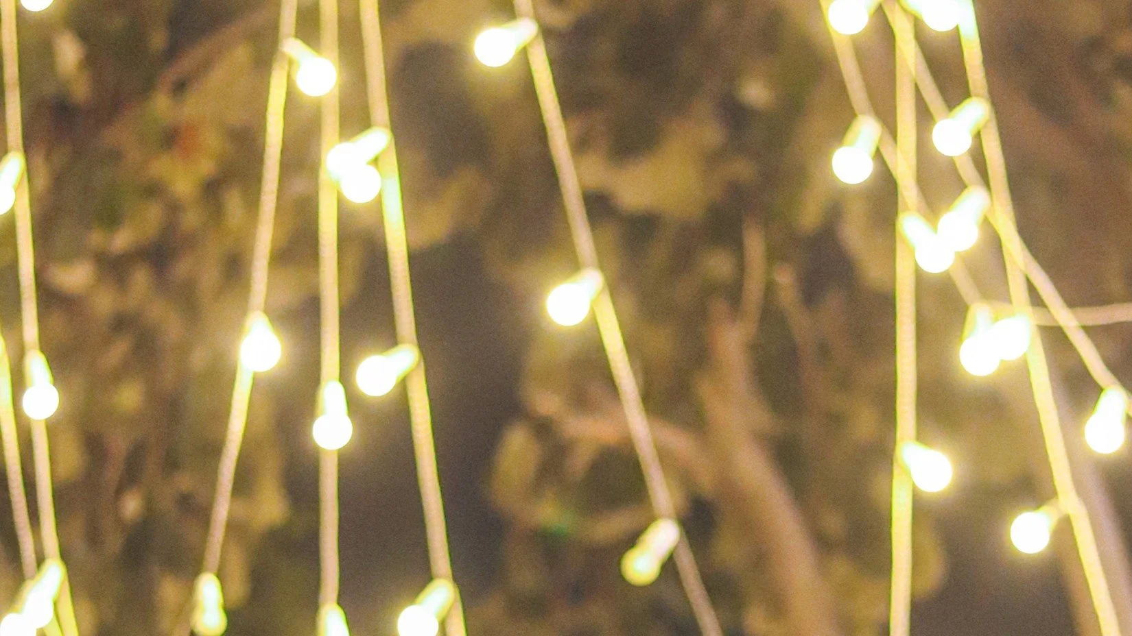 Outdoor Lighting Company in Tiffany Greens