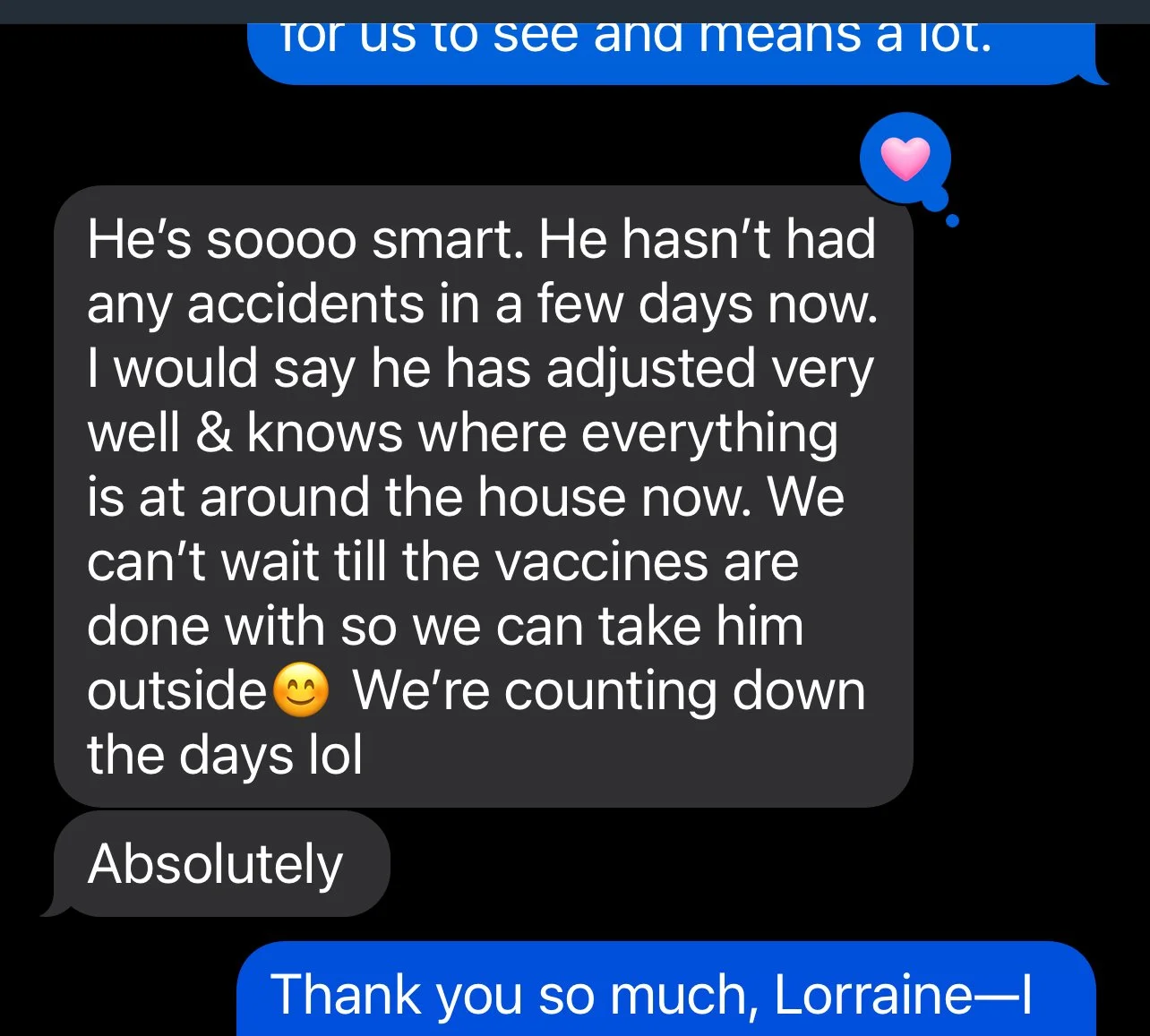 A screenshot of text from new family about pee pad training success